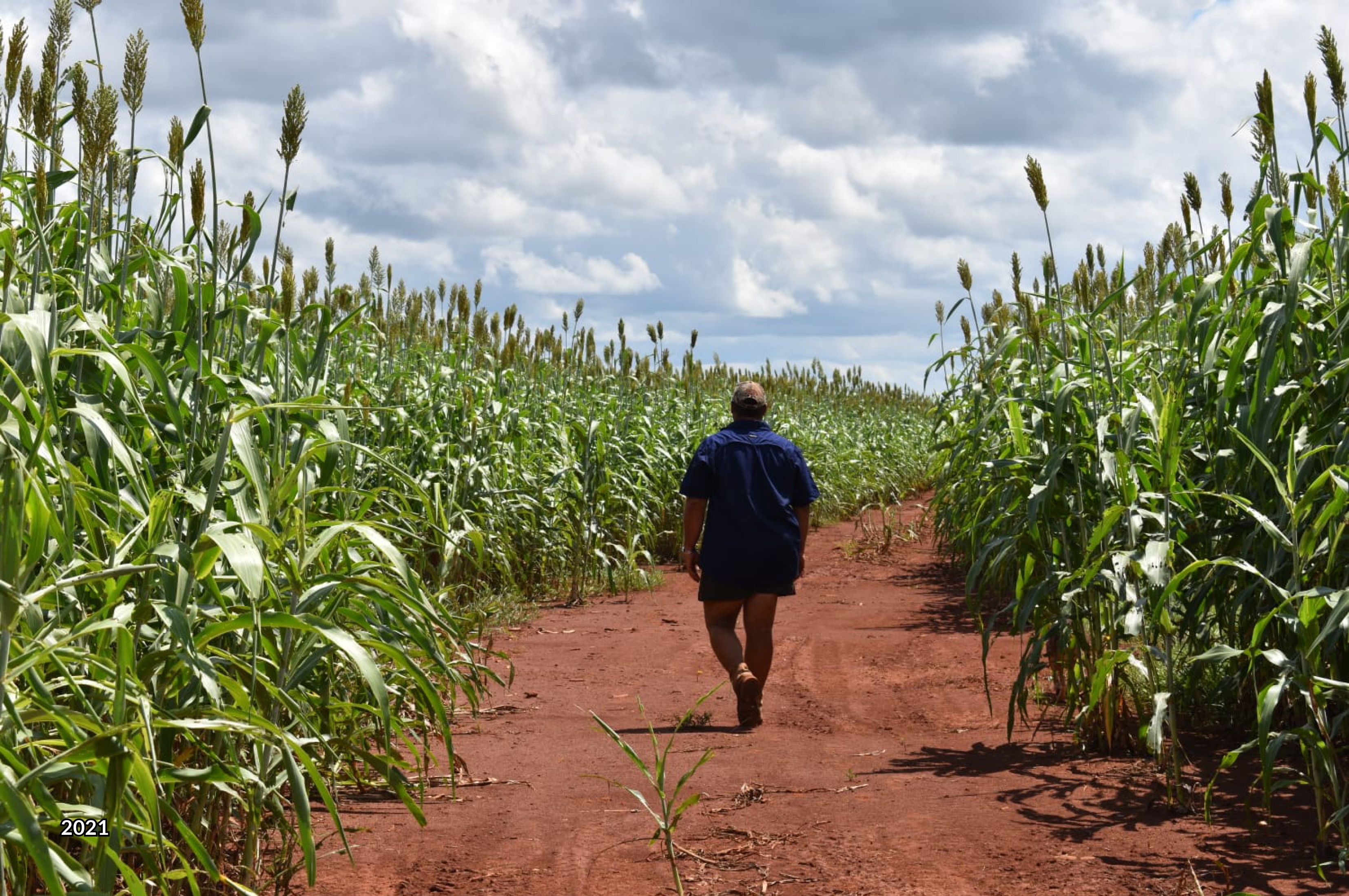 "Banjo Station" Katherine, NT 0850 Sold Rural Cropping Property