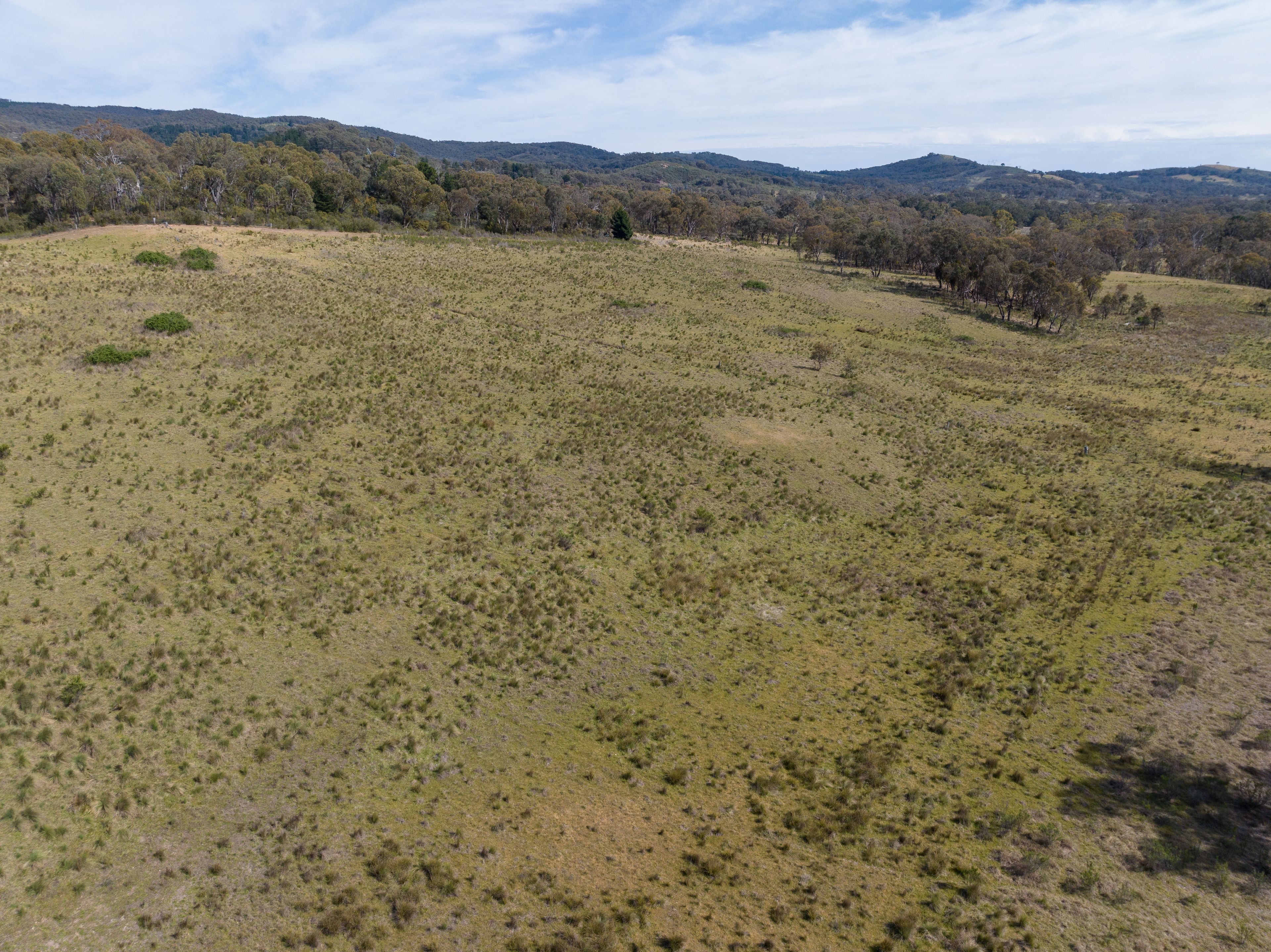 "Spring Glen" "Spring Glen" 1129 Long Point Road, Orange, NSW 2800