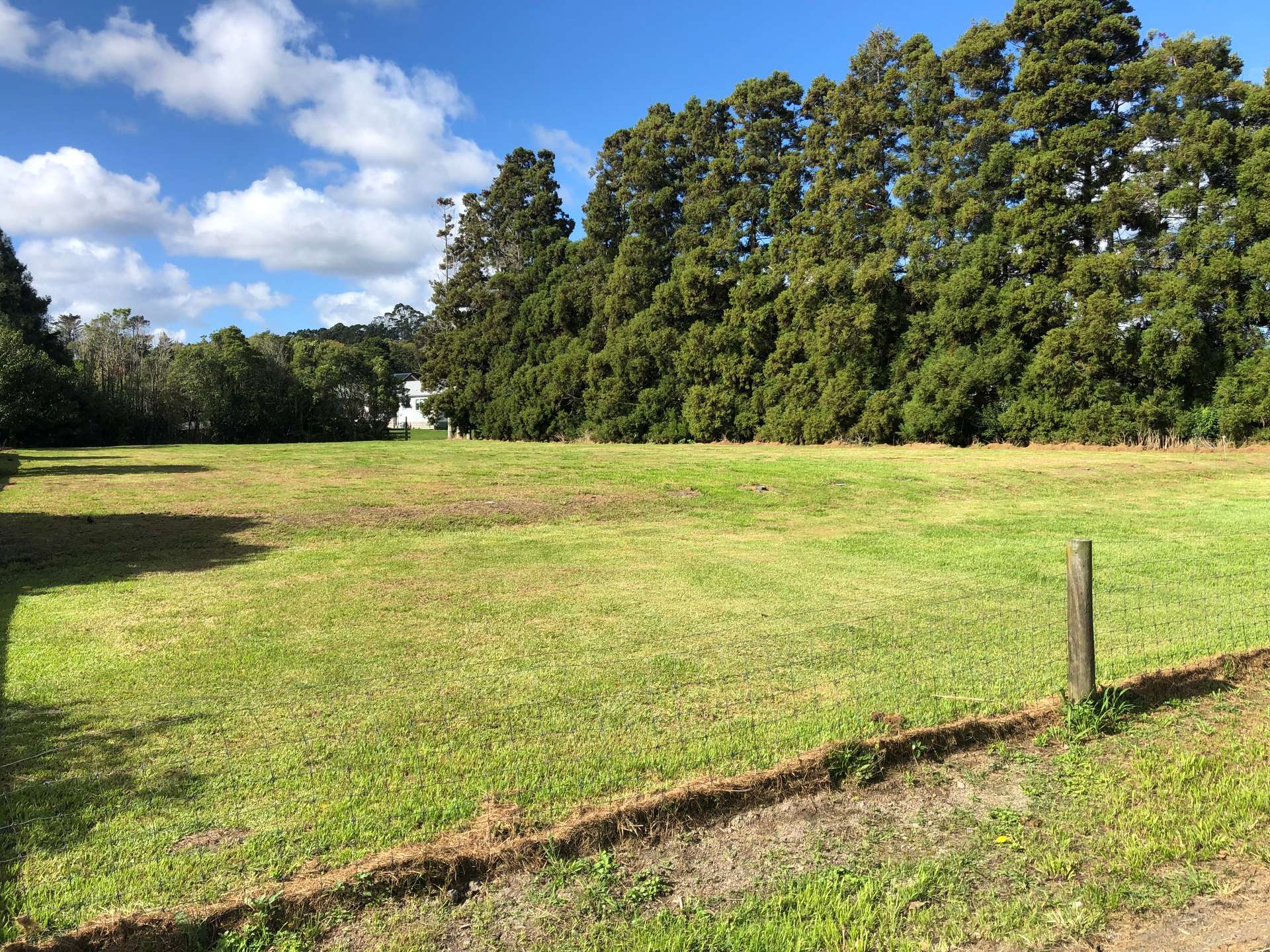 970 Kahikatea Flat Road photo 0