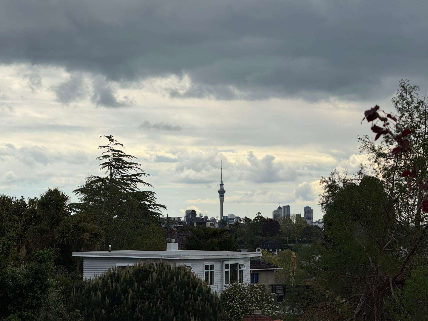 12/6-14 Meadowbank Road photo 15