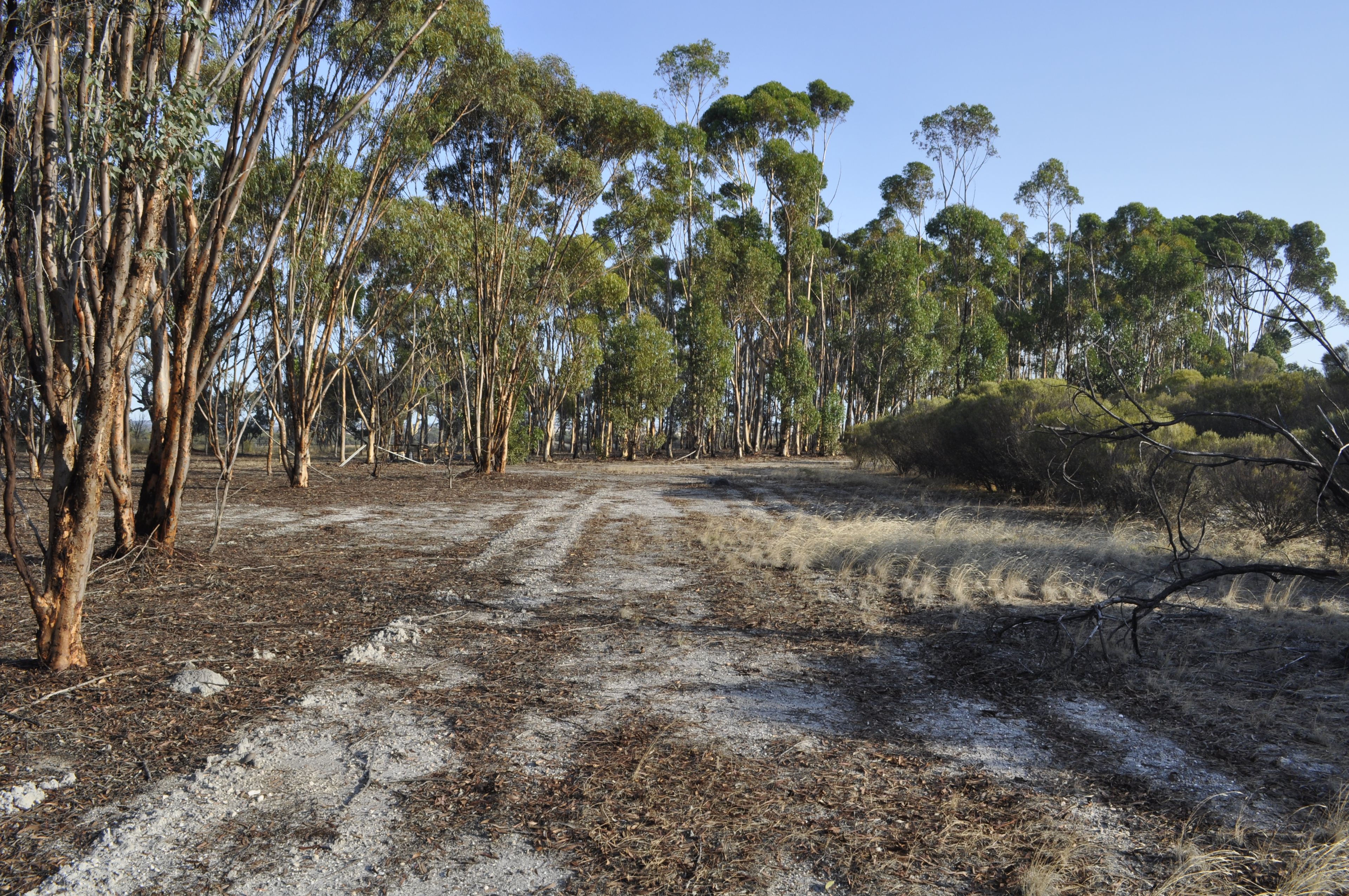 Lot 633 Mills Street, Katanning, WA 6317 Land for Sale Ray White