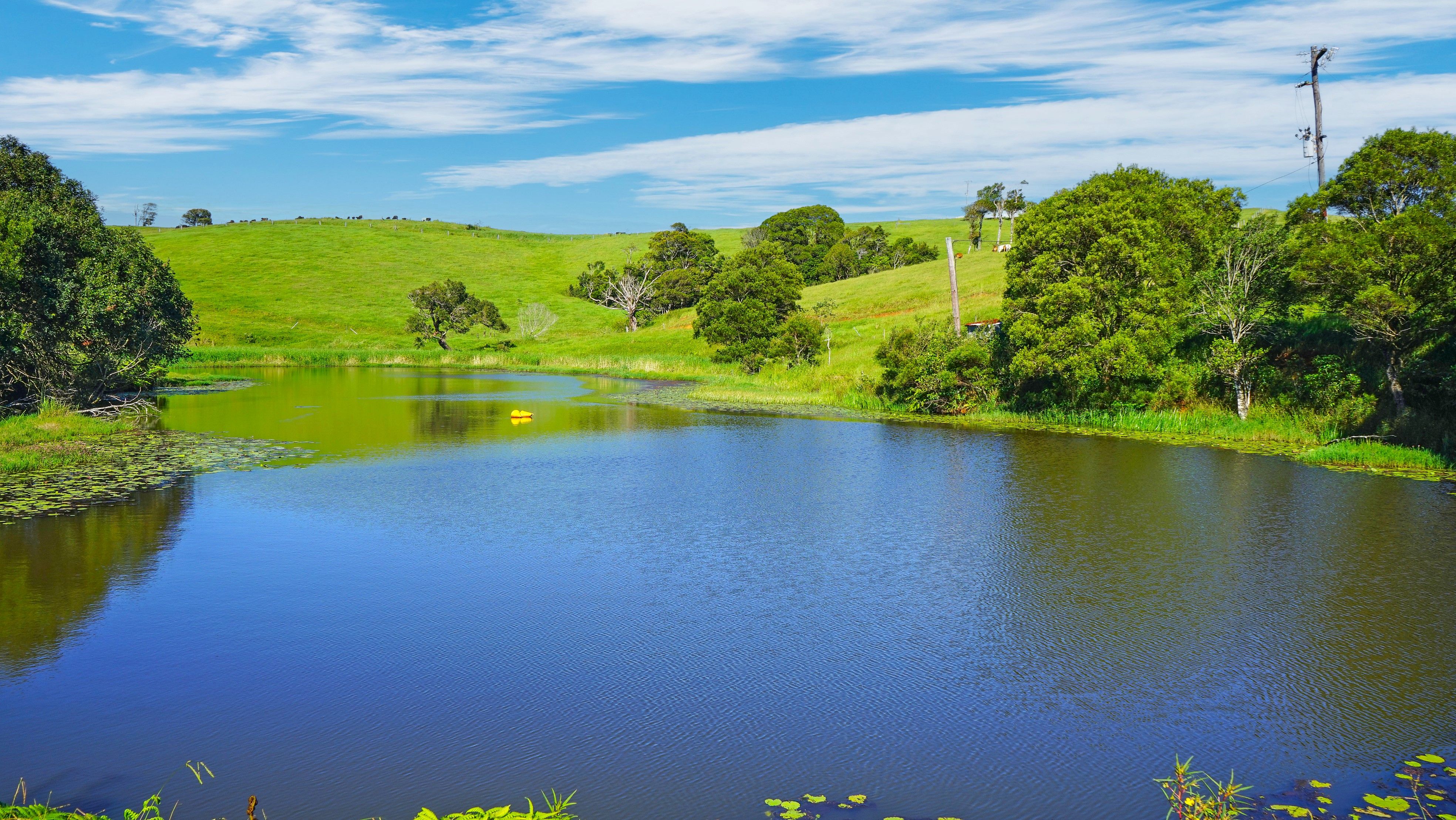 110 Blacks Road, Dalrymple Heights, QLD 4757