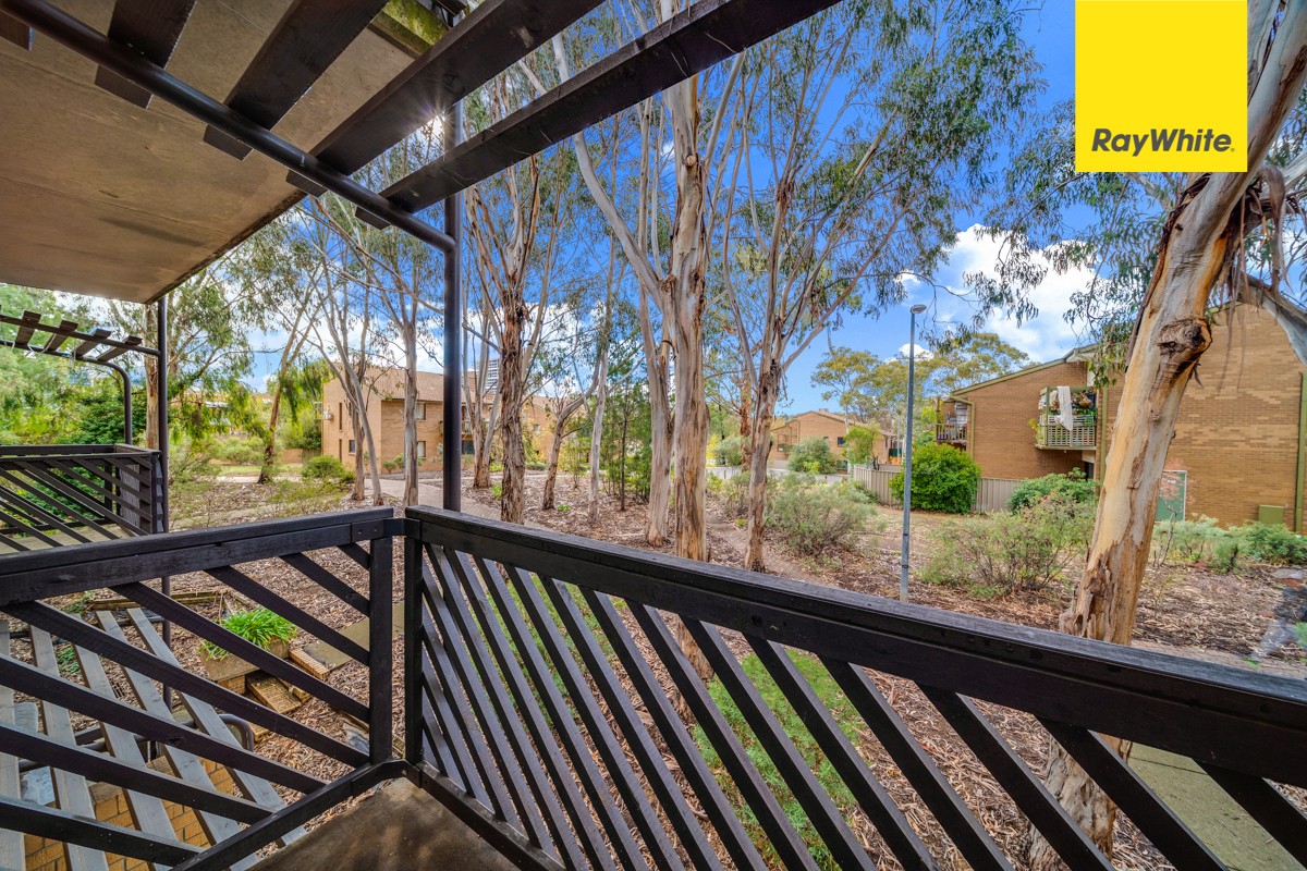 31/31 Disney Court, Belconnen, ACT 2617