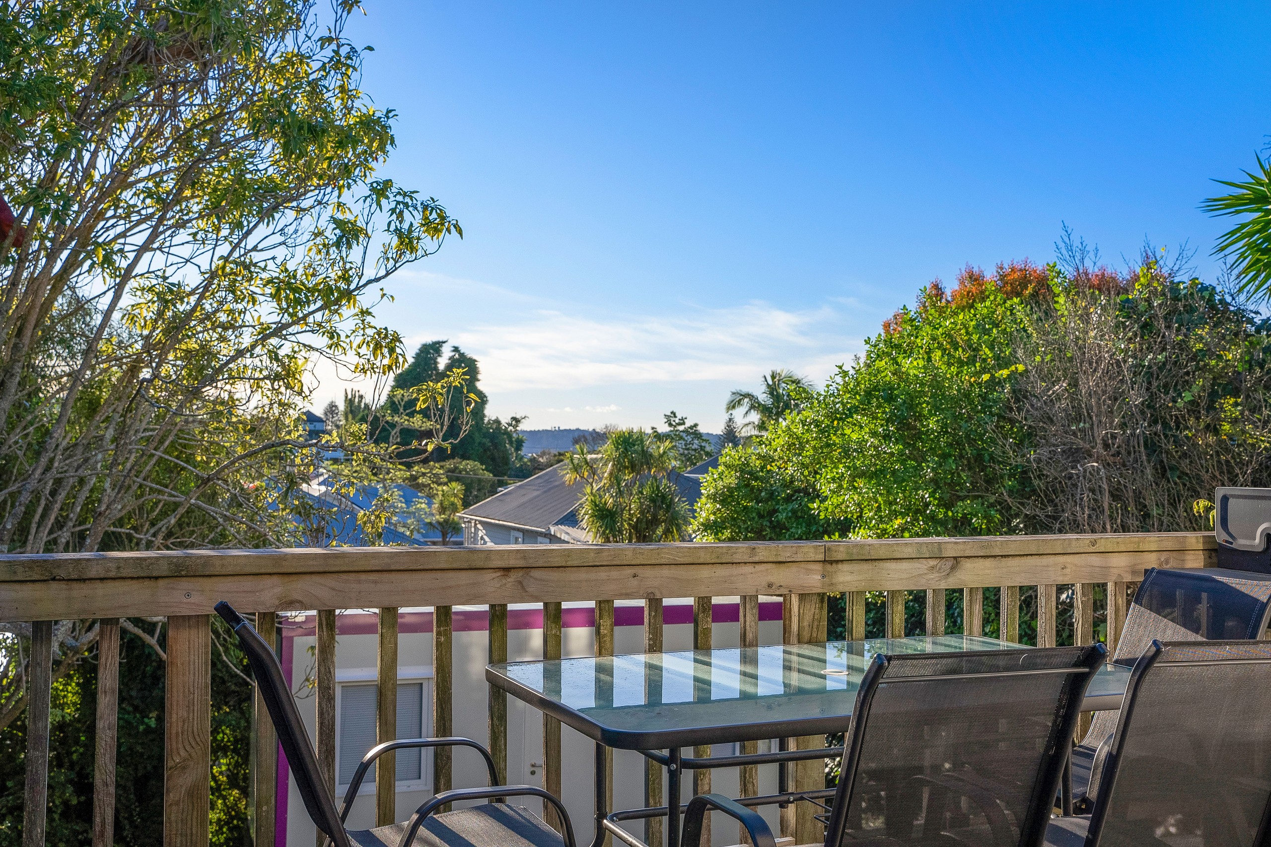 27 Wellpark Avenue, Grey Lynn, Auckland City