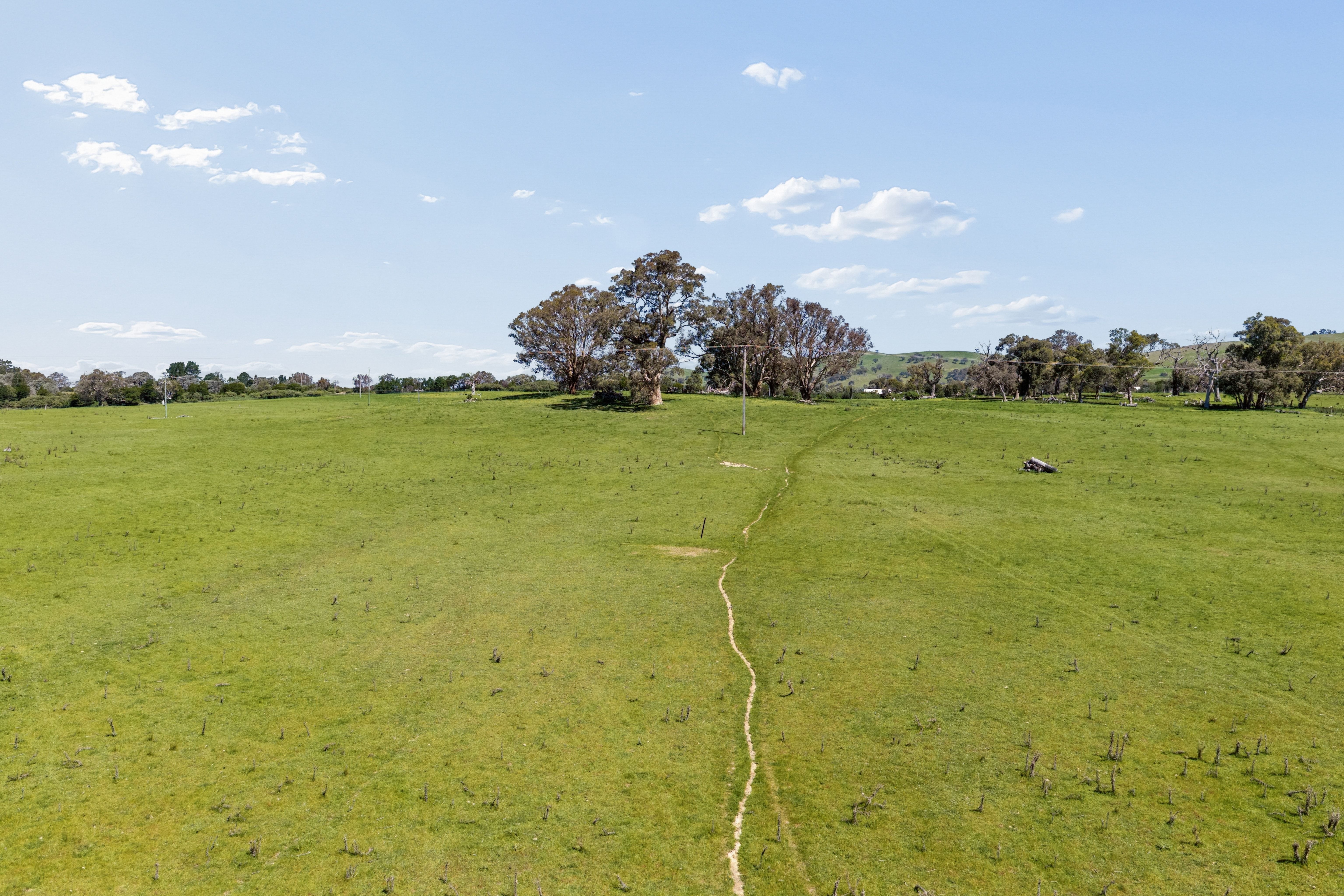 "Banjo's", 28238 Hume Highway — photo 22 of 26