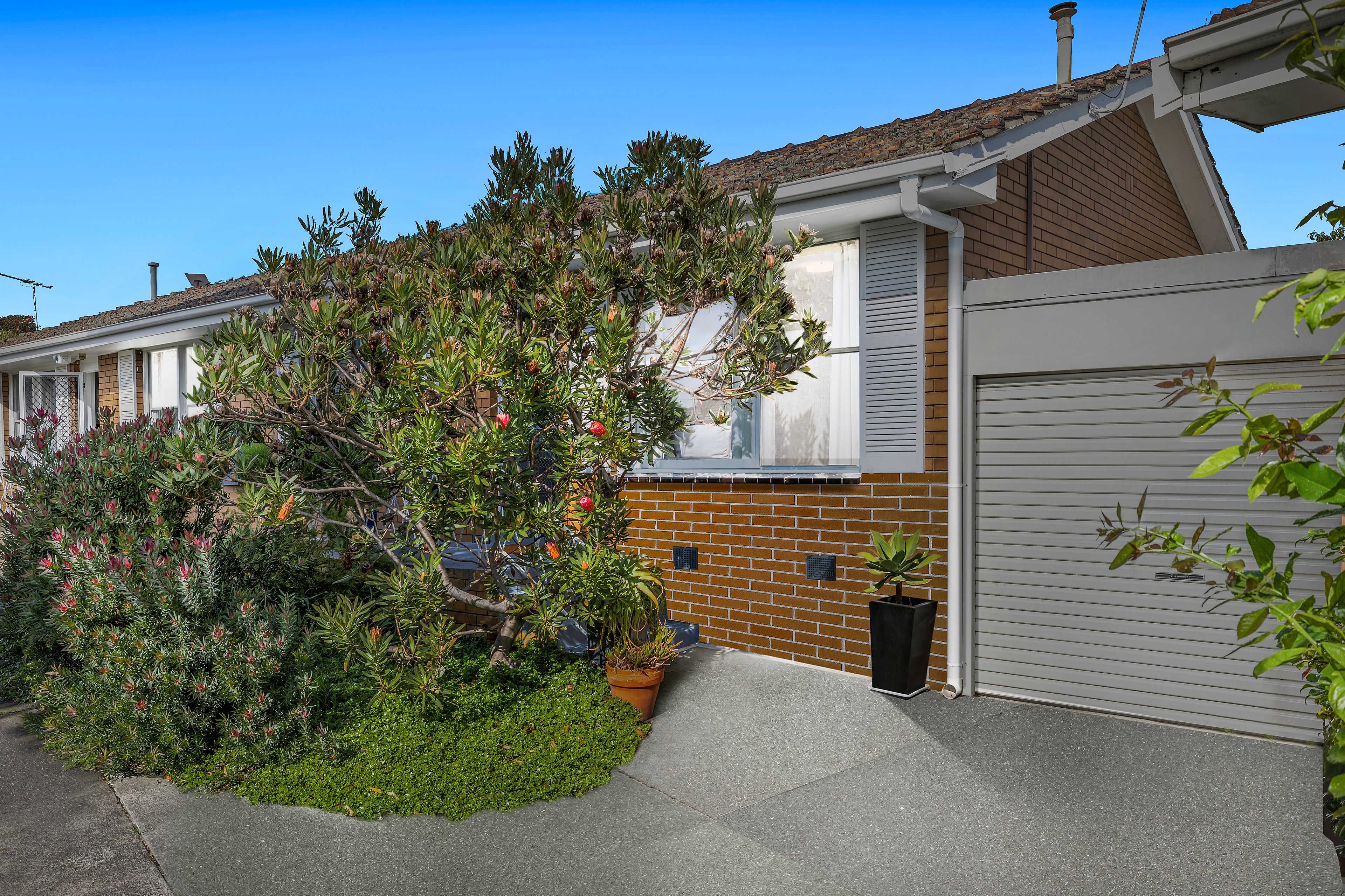 3/14 Golden Avenue, Bonbeach, VIC 3196