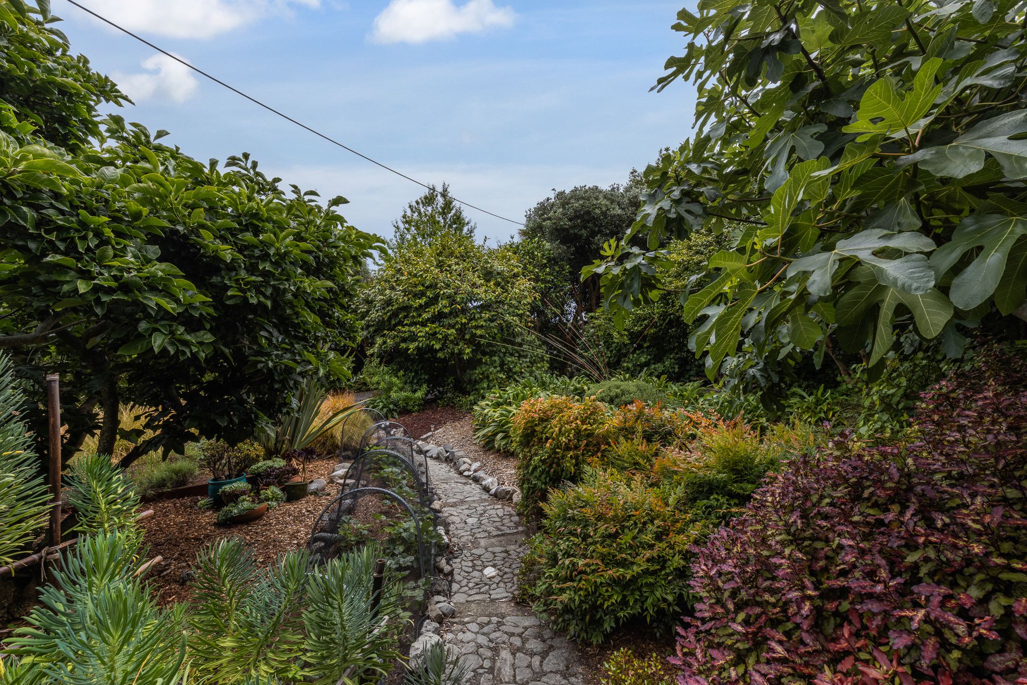 2 Kereru Street, Waikanae, Kapiti Coast District