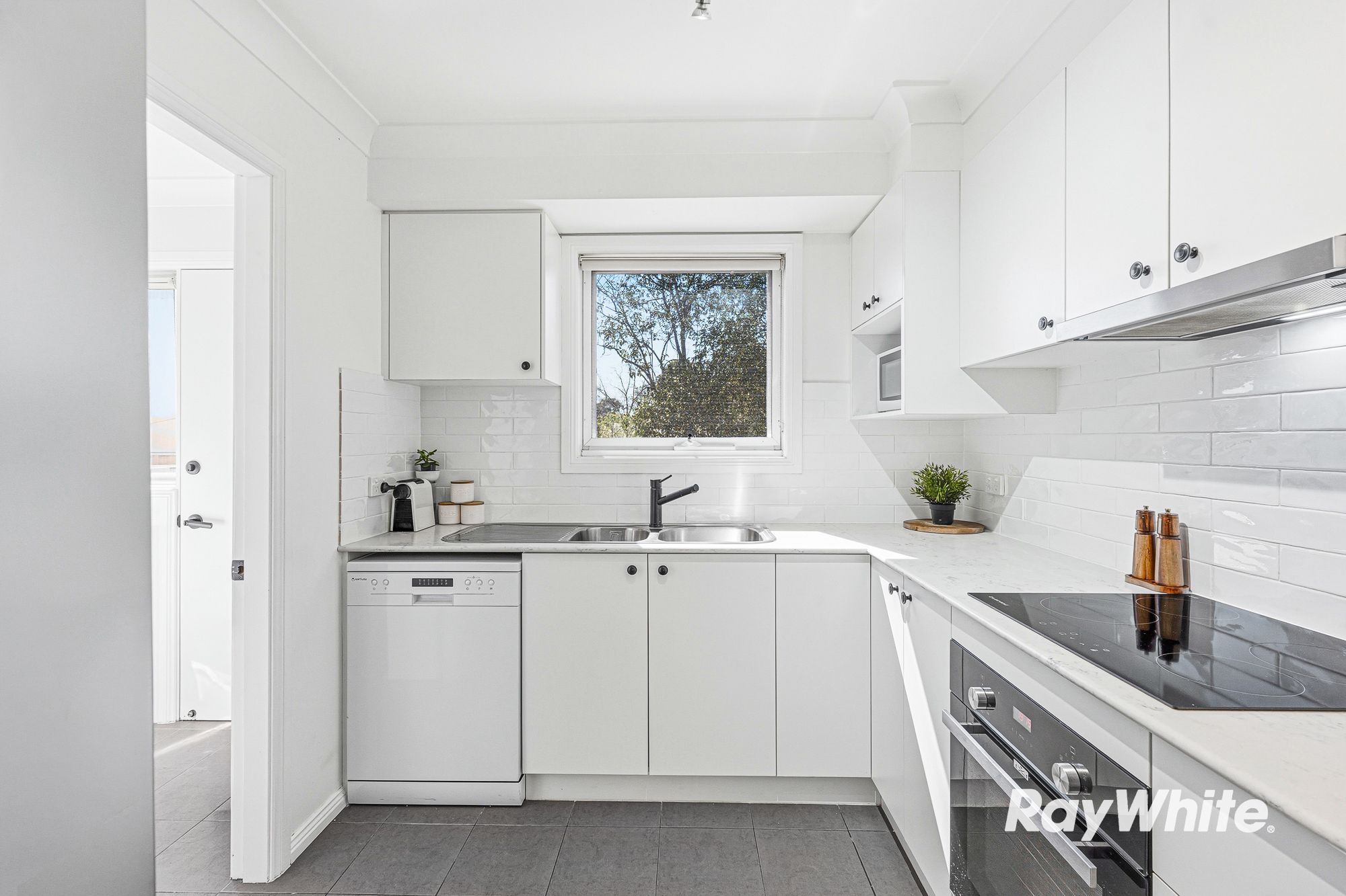 2/203 Stafford Street — photo 6 of 22