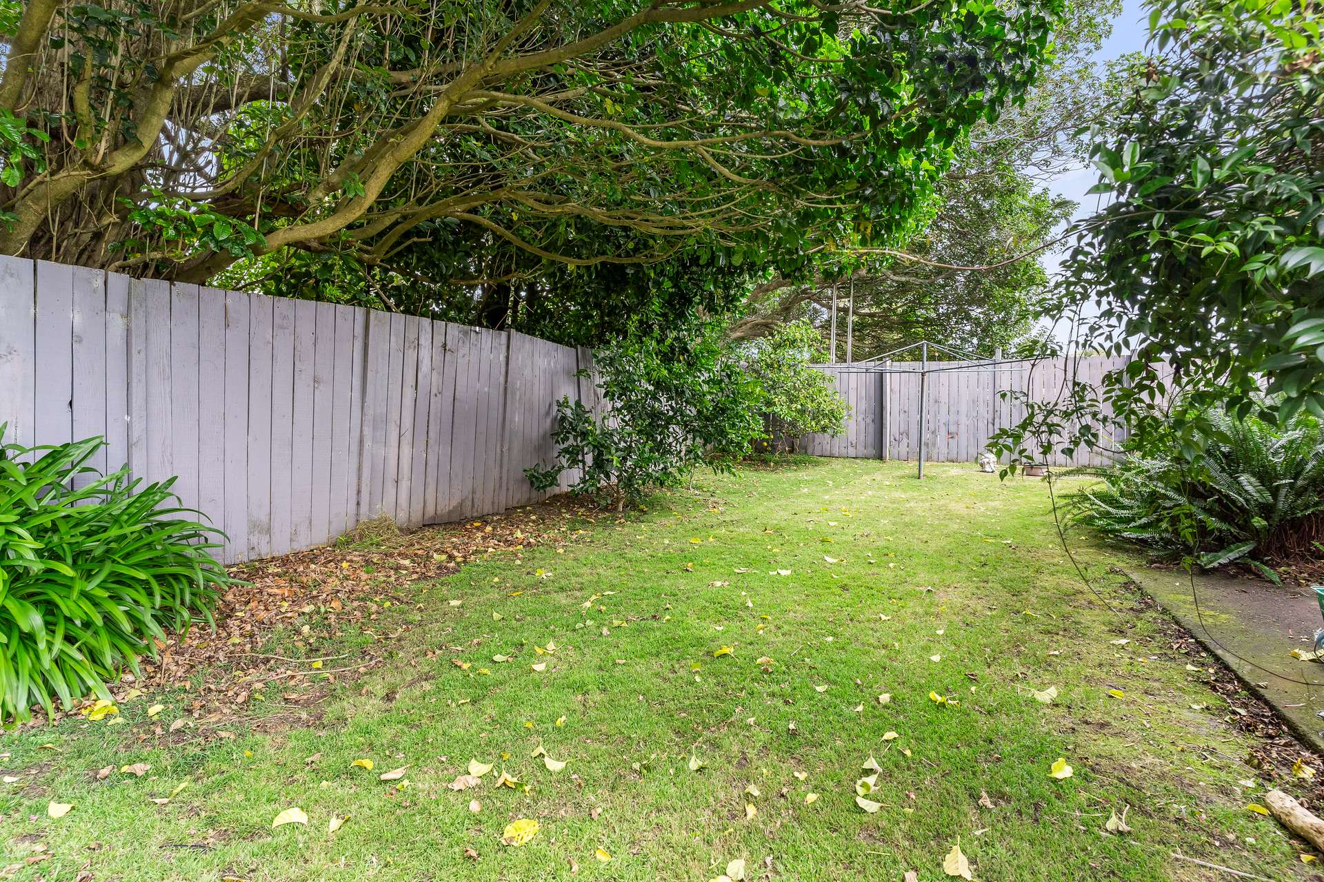 2/50 Finlayson Avenue photo 4