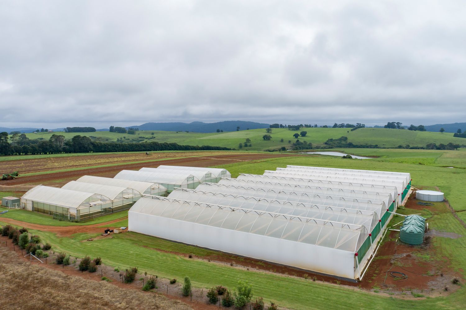 68 Paddys Plains Road, Dorrigo NSW 2453