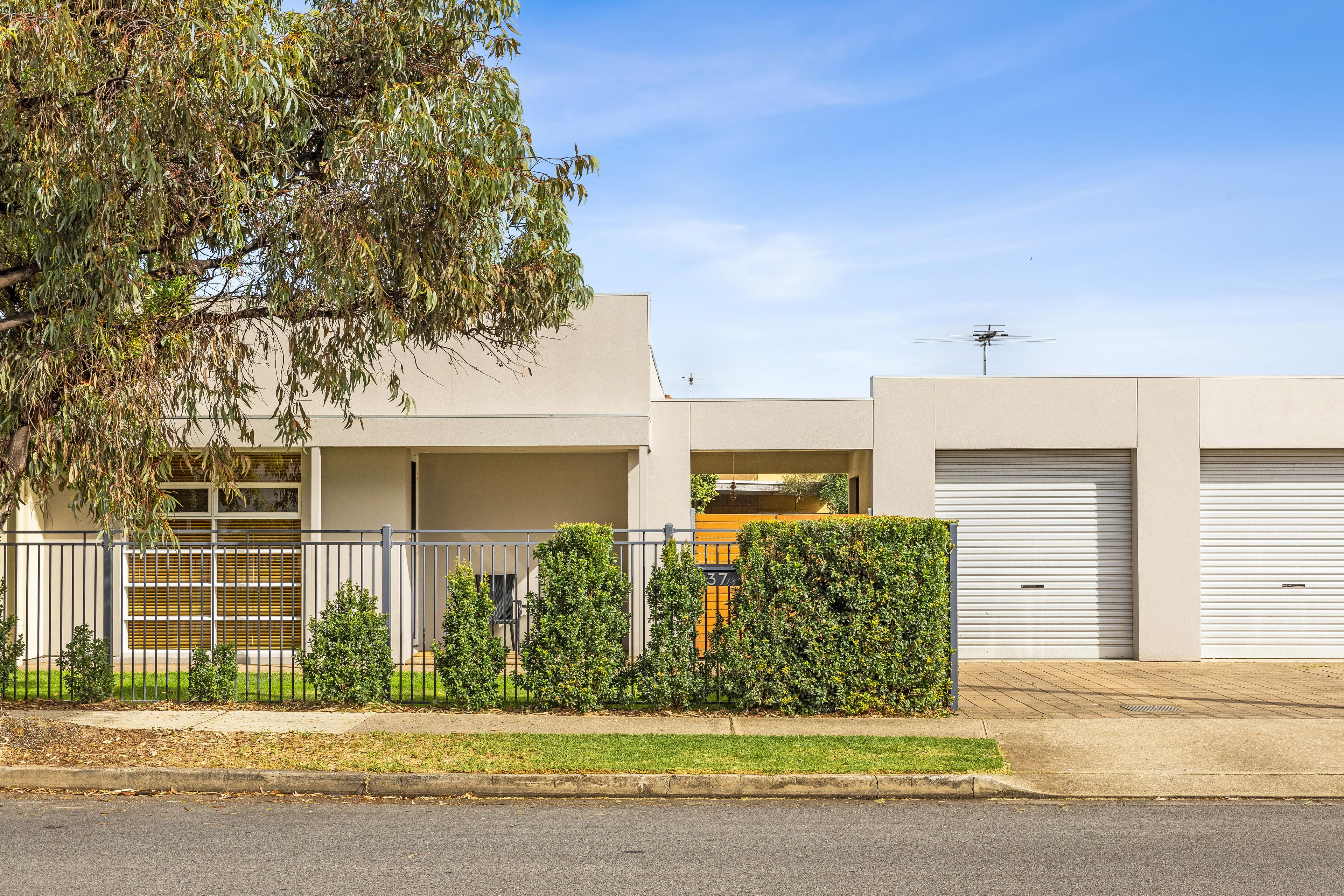 37 Elder Terrace, Glengowrie, SA 5044