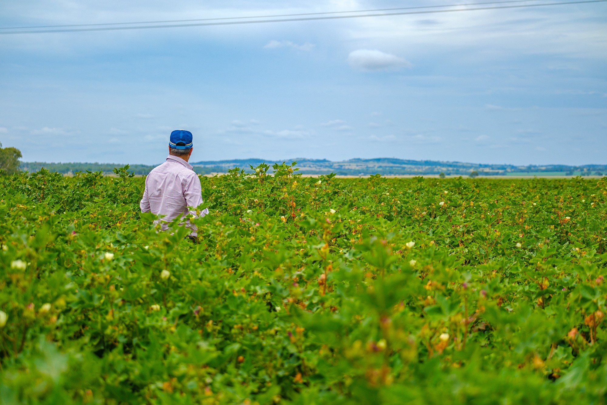 424 Campbells Road, Silverleaf, QLD 4605