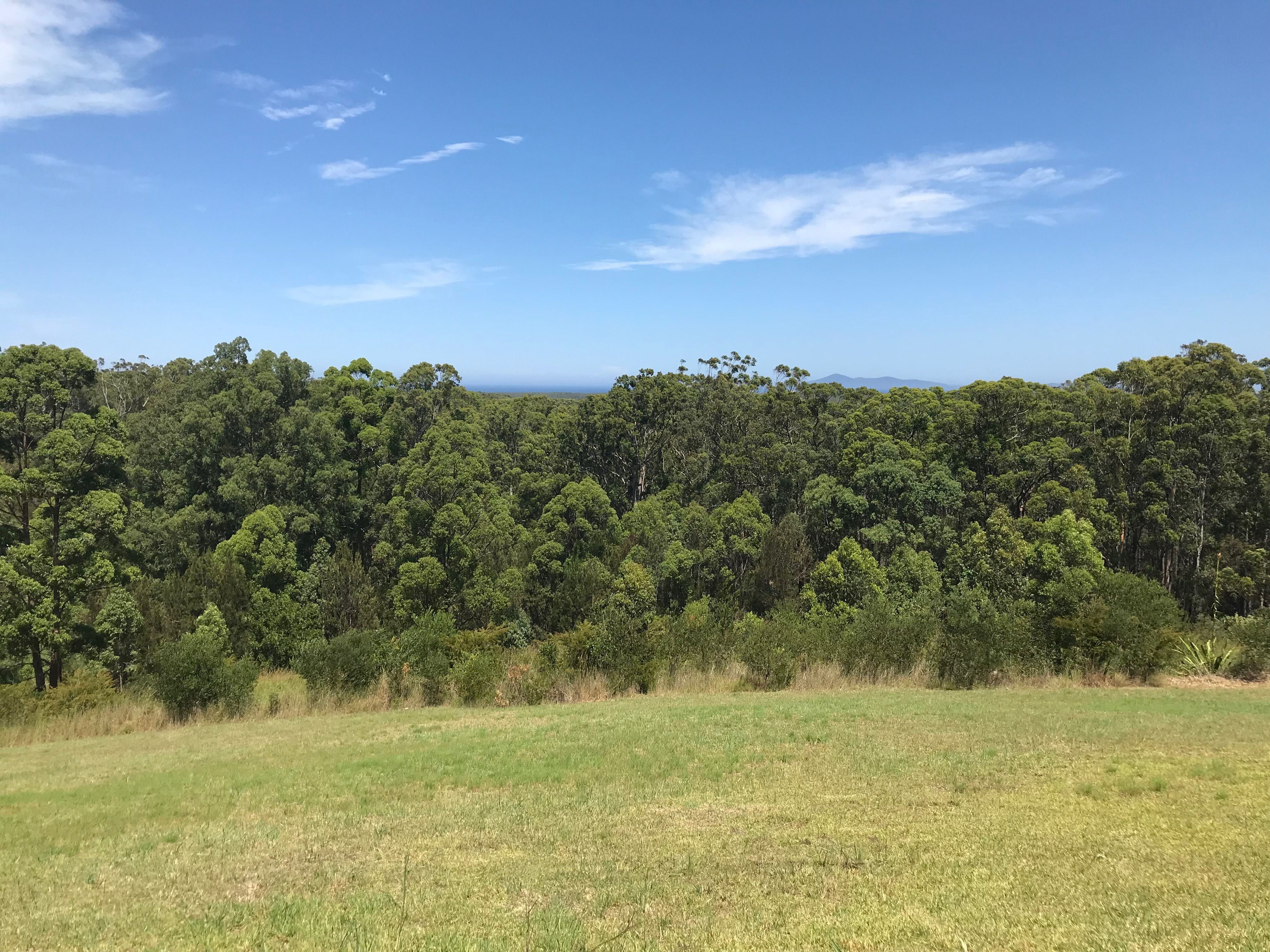 5 Gum Blossom Place, Tallwoods Village, NSW 2430