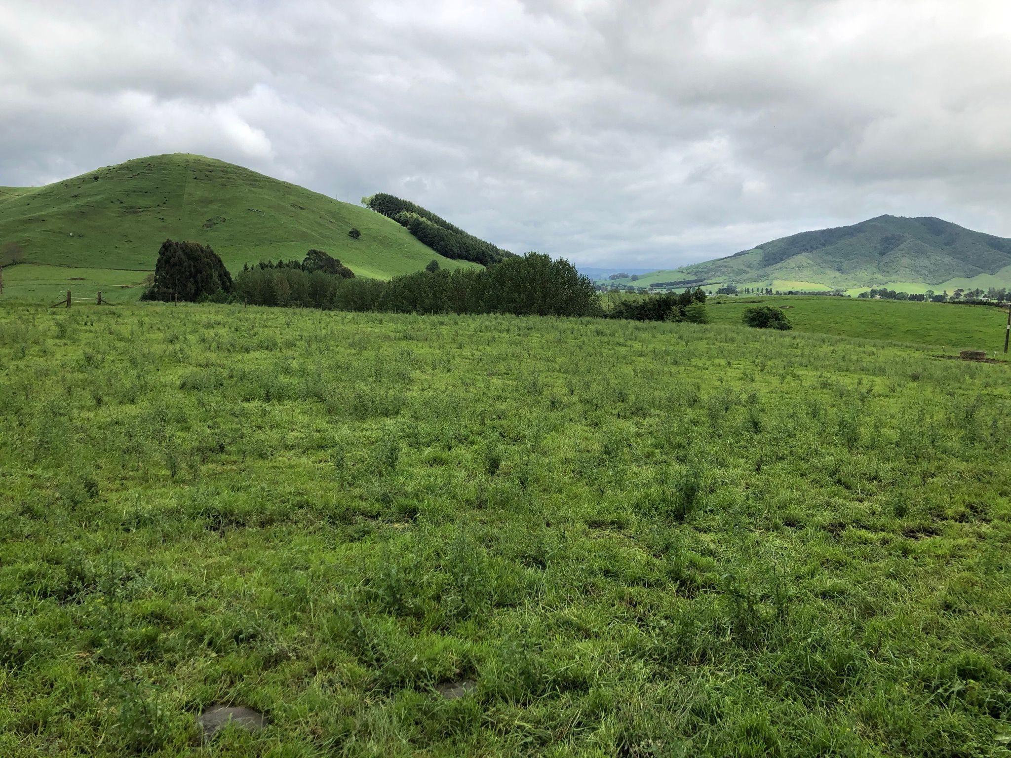 Lot 5 Cruickshank Road, Te Awamutu, Waipa District