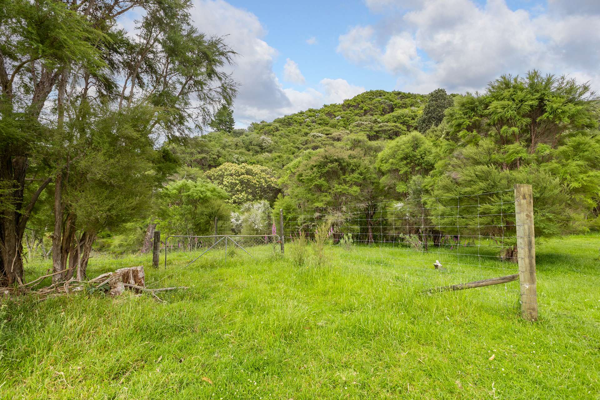418 Kaiwaka Road photo 16