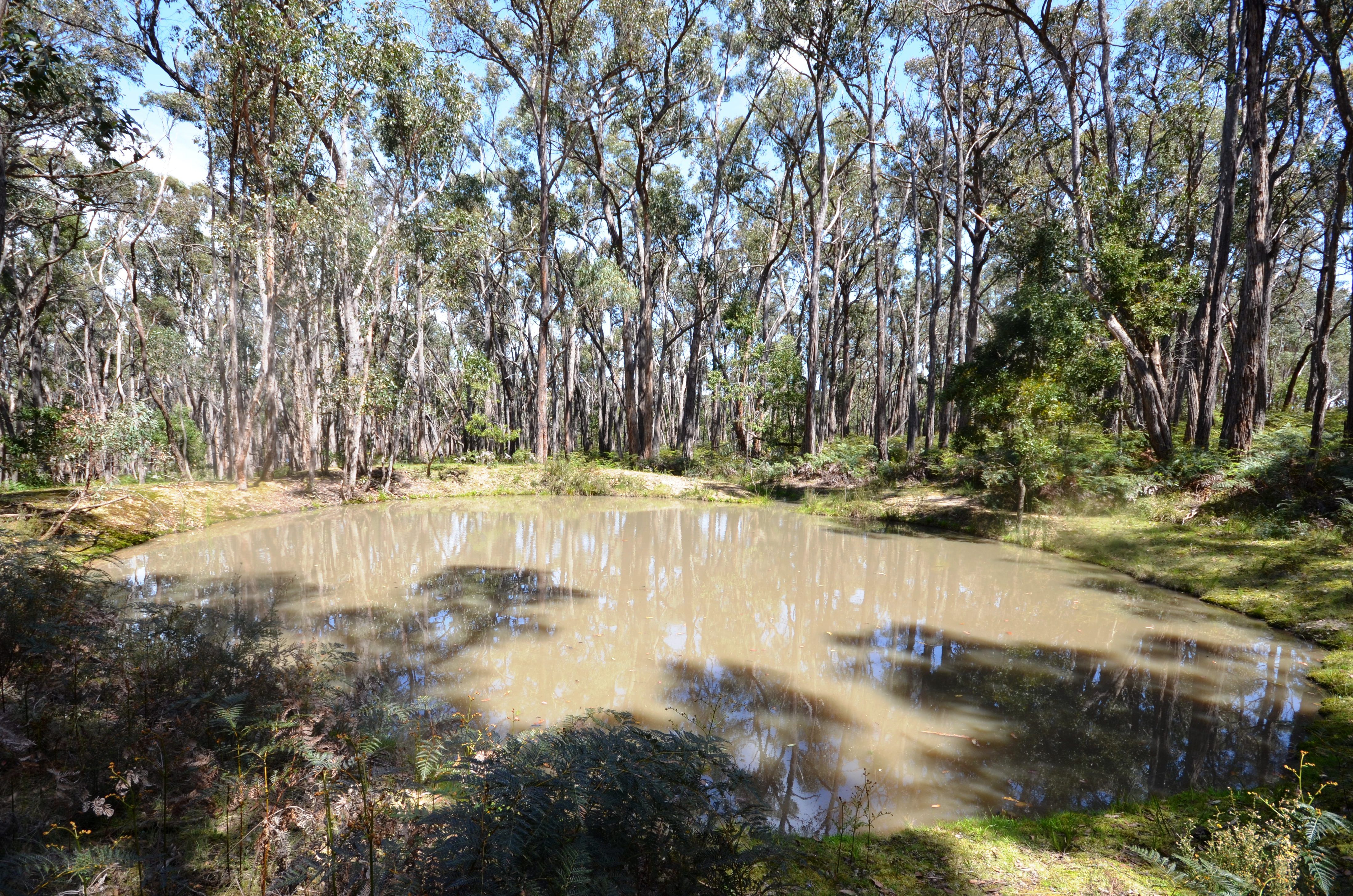 Lot 6 Woodland Drive, Scarsdale, VIC 3351