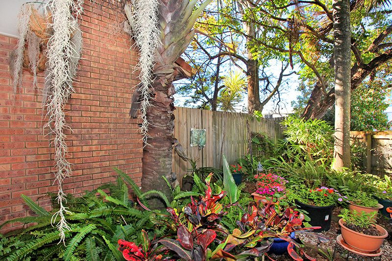 7/10 Mungar Street, Maroochydore, QLD 4558