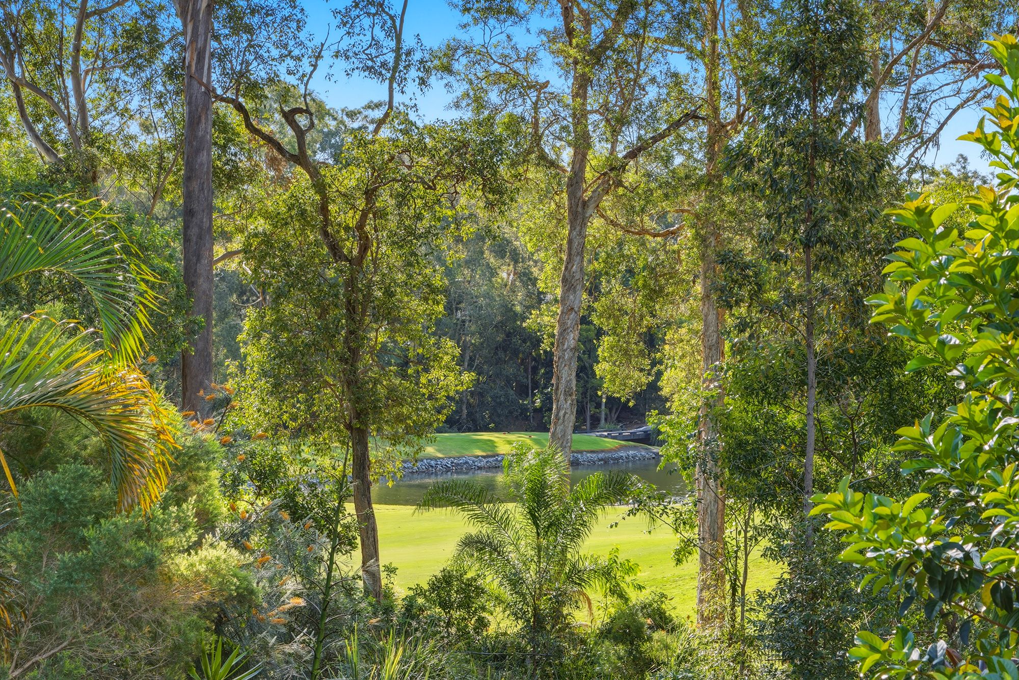 9 Auriga Court — photo 21 of 24