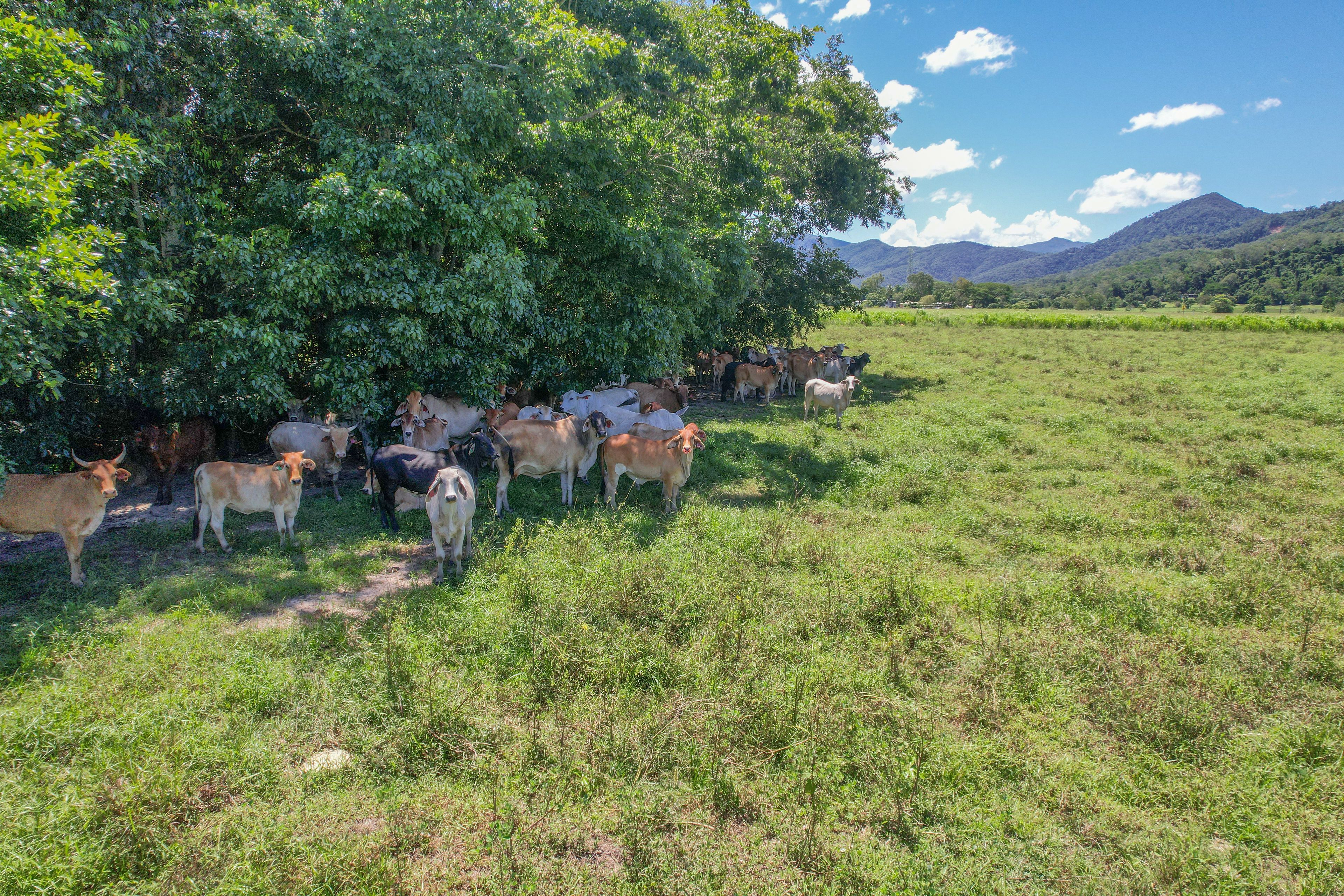 Lot 2 Bruce Highway — photo 19 of 19