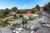 2753 State Highway 1 photo 3
