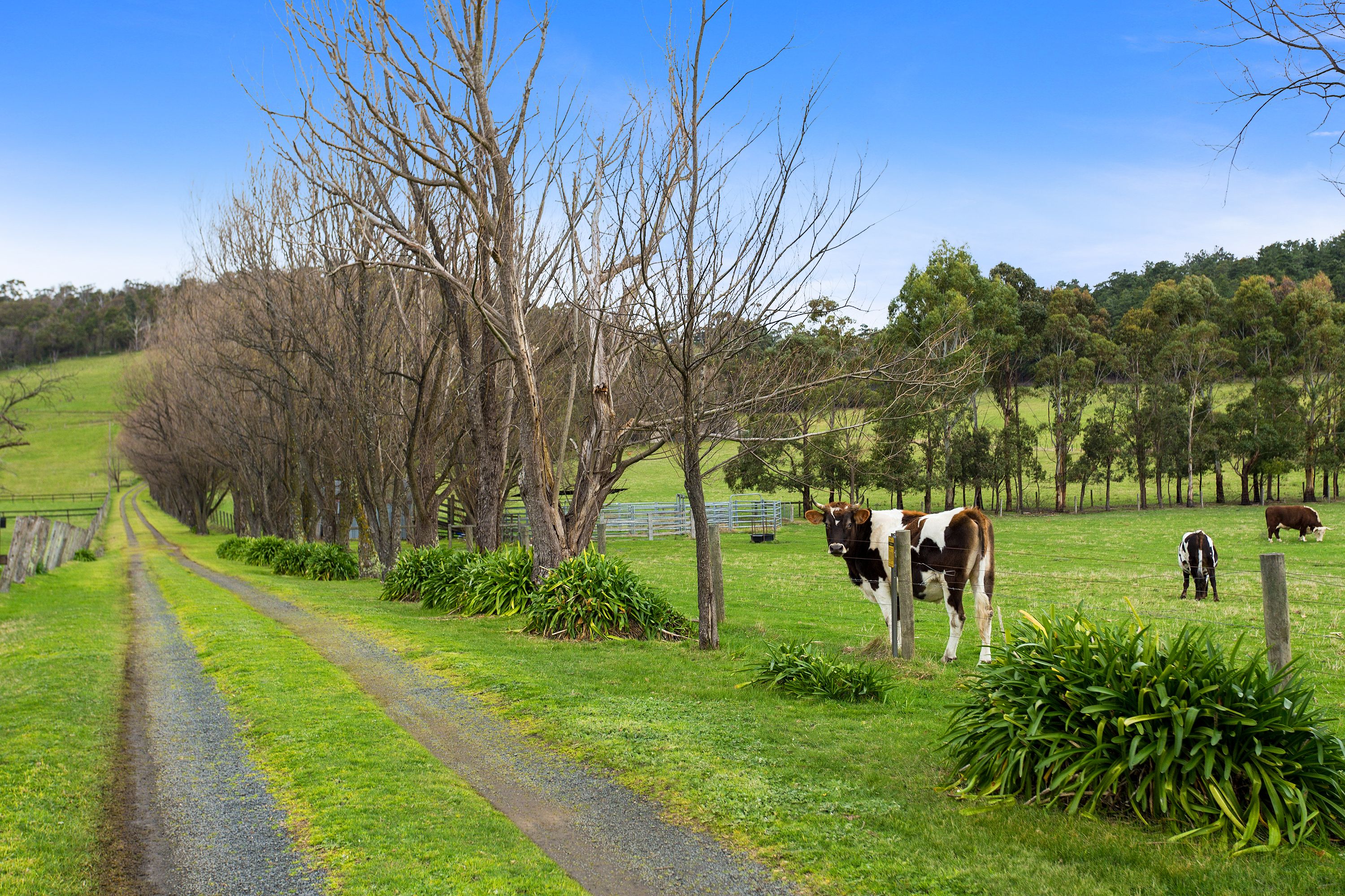 240 Pakenham Road, Pakenham, VIC 3810