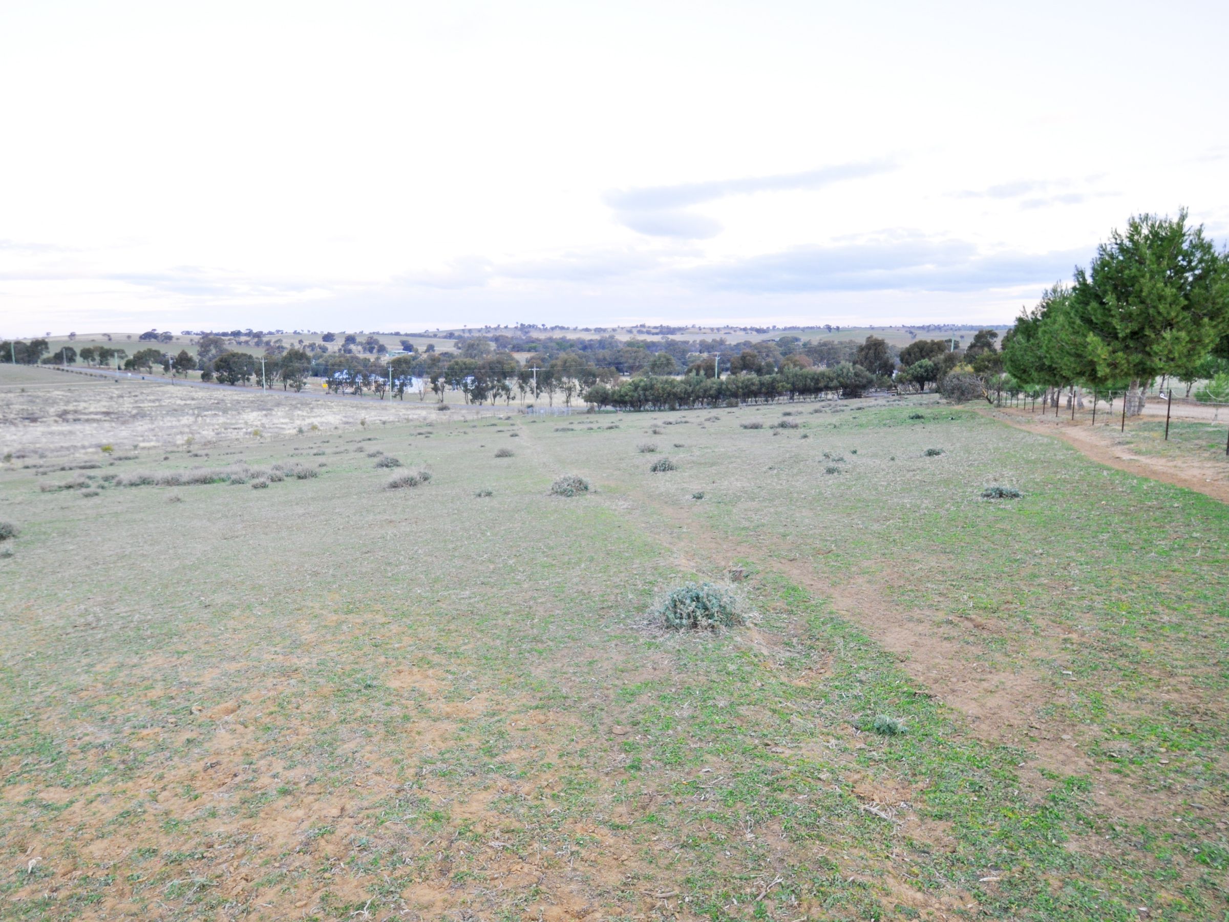 69 Tathra Drive, Junee, NSW 2663