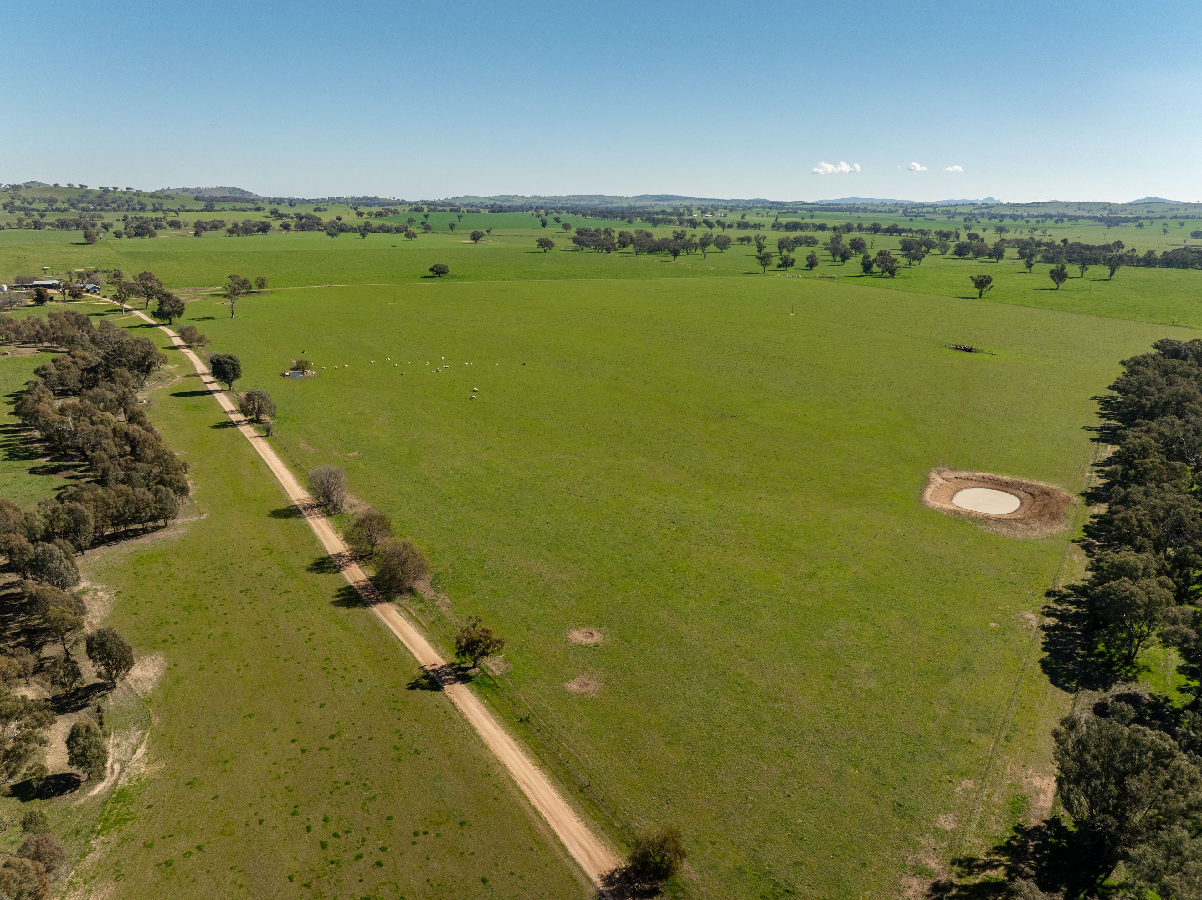 2018 Henty Cookardinia Road, Cookardinia, NSW 2650