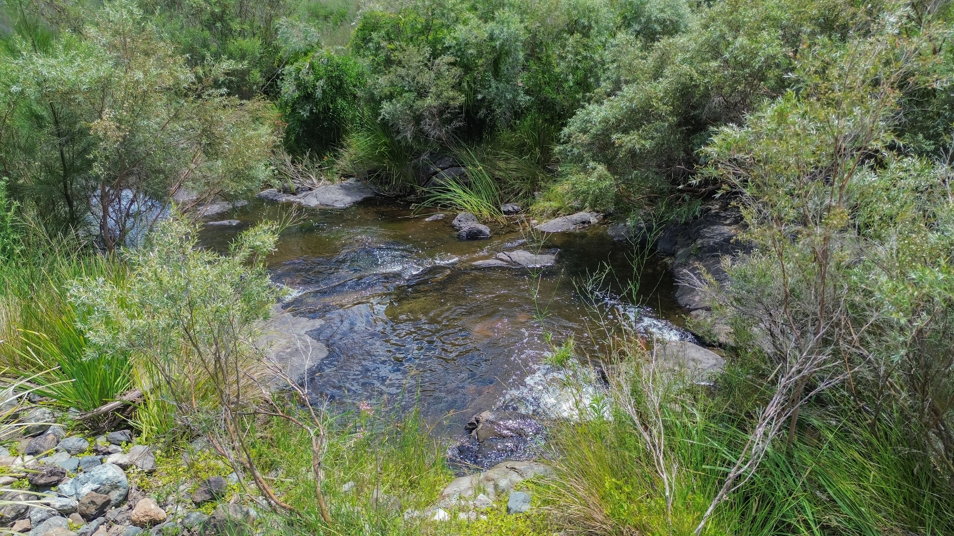 1325 Connolly Dam Road, Silverwood, QLD 4370