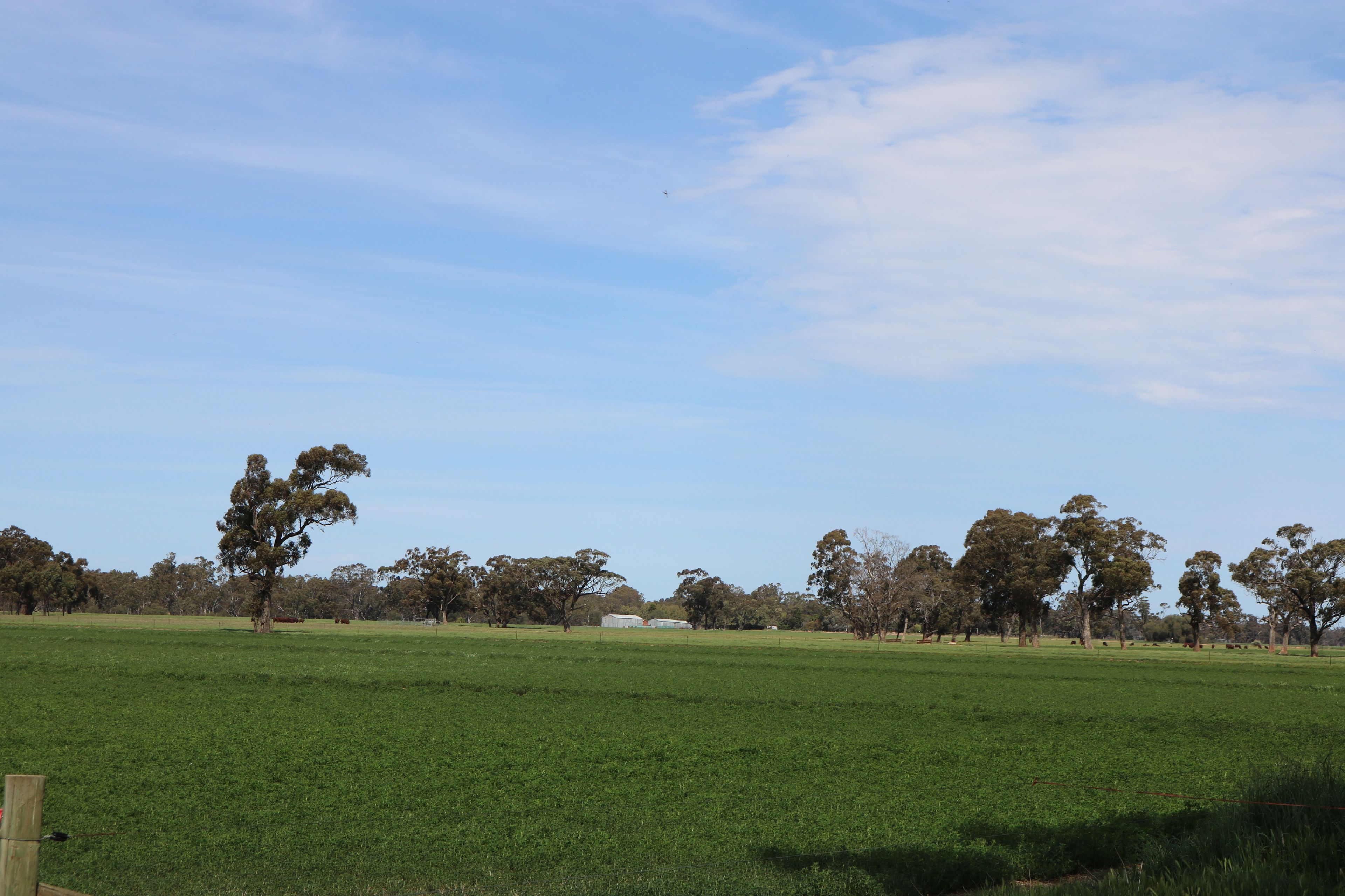 5500 Northern Highway, Elmore, VIC 3558