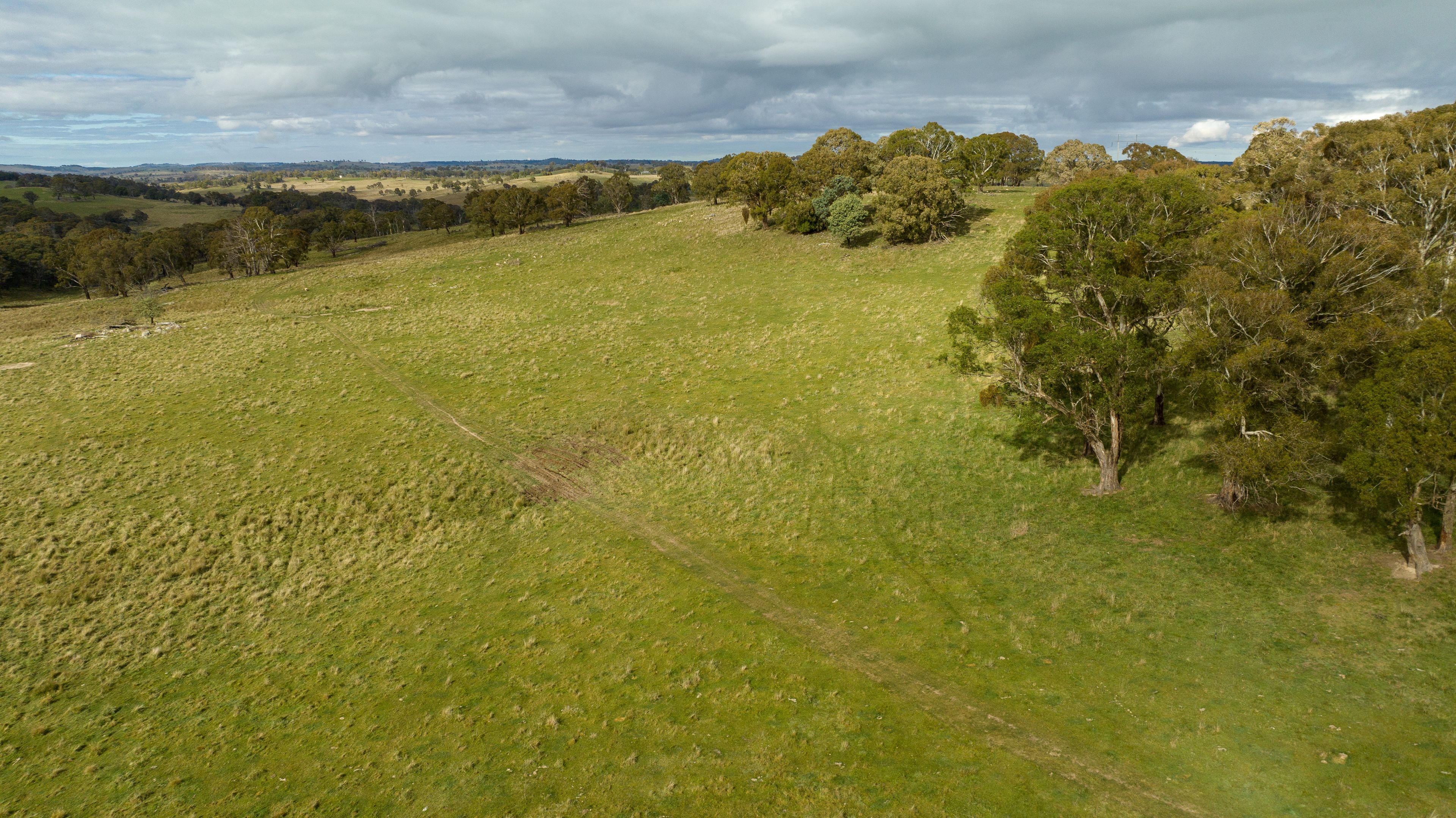 "Lilyfour" 5444 New England Highway, Llangothlin, NSW 2365 Sold