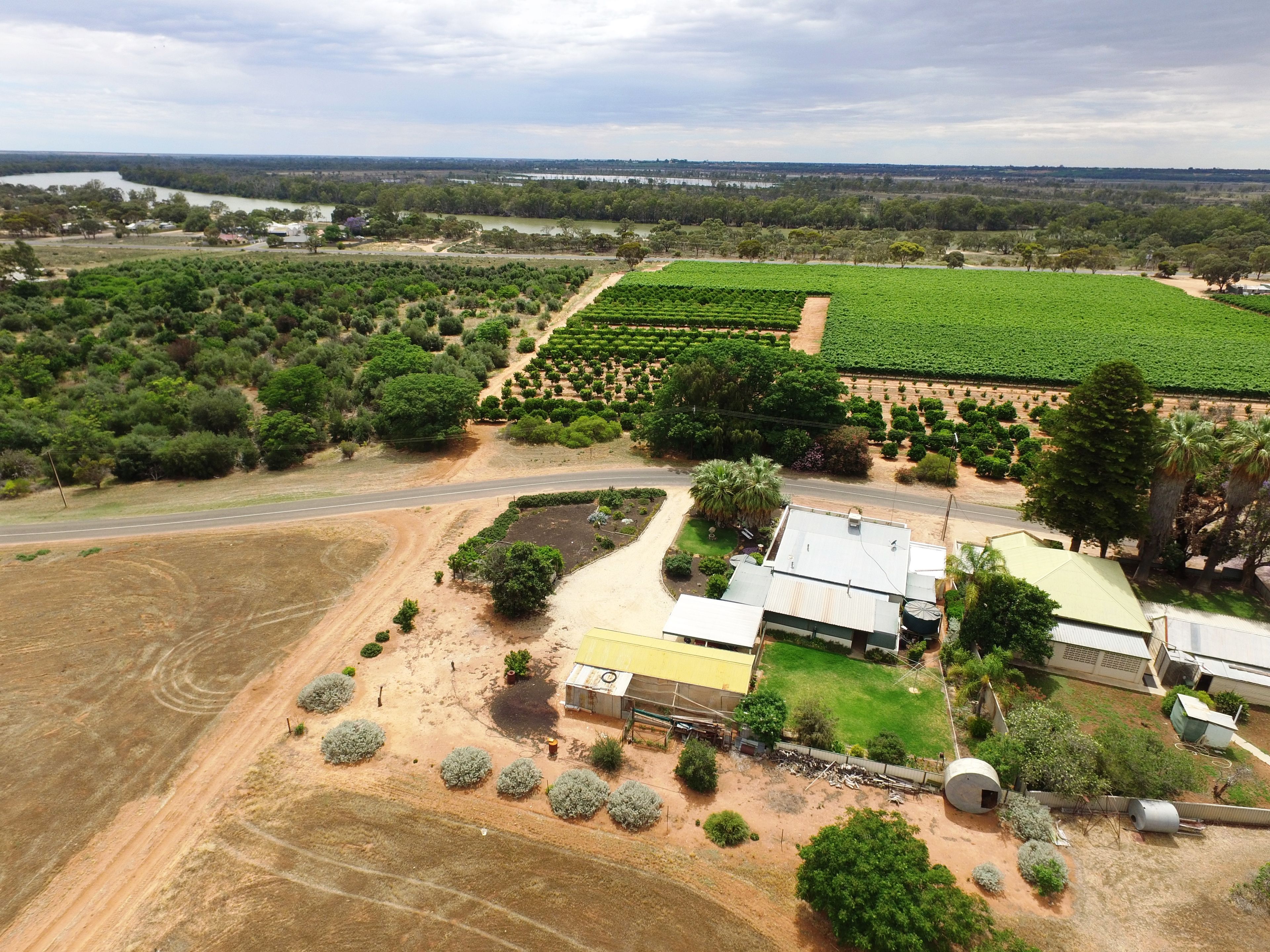 81 Loxton Drive, Moorook, SA 5332