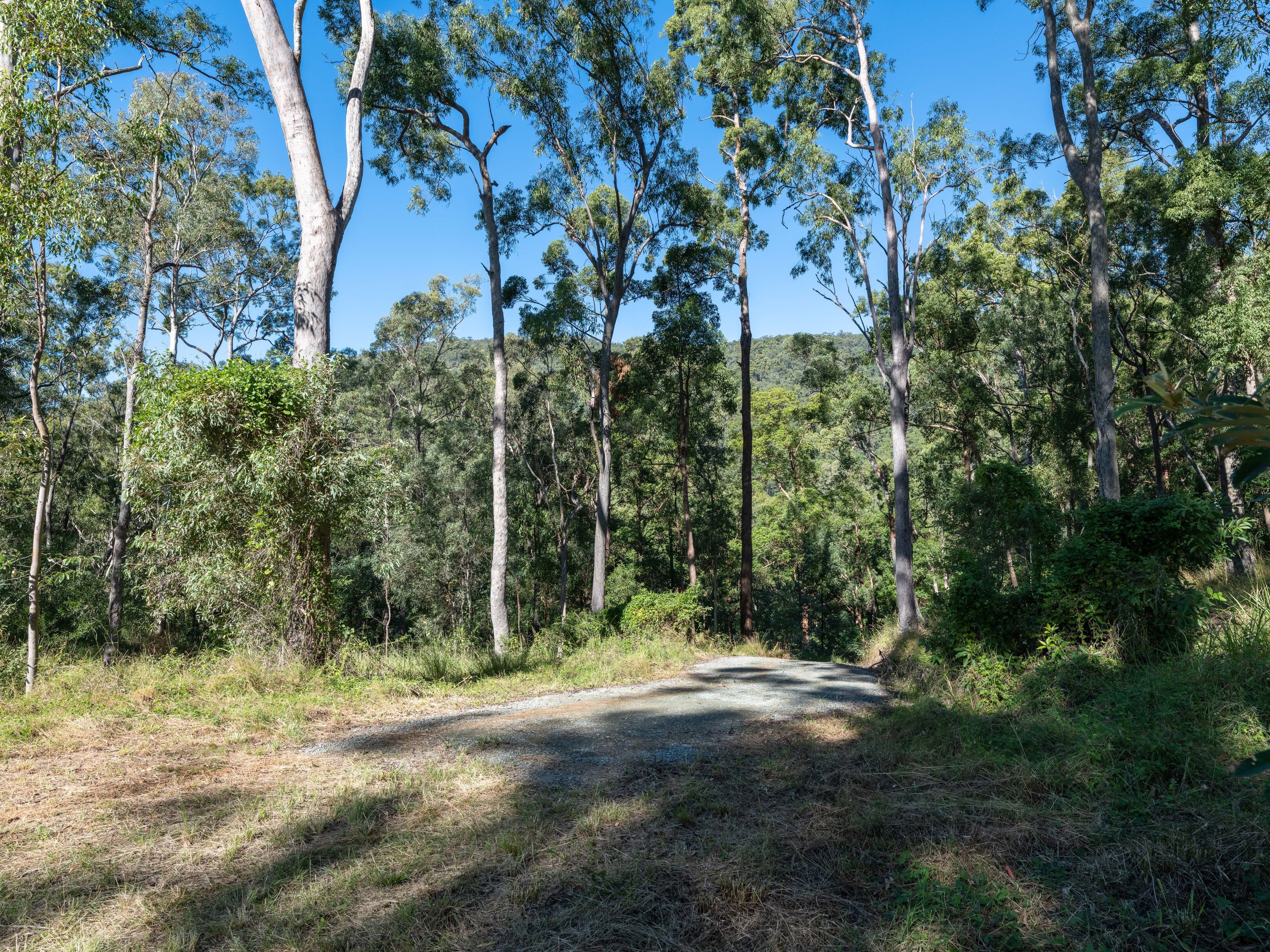 Cedar Creek 2.75 Hectares — photo 6 of 7