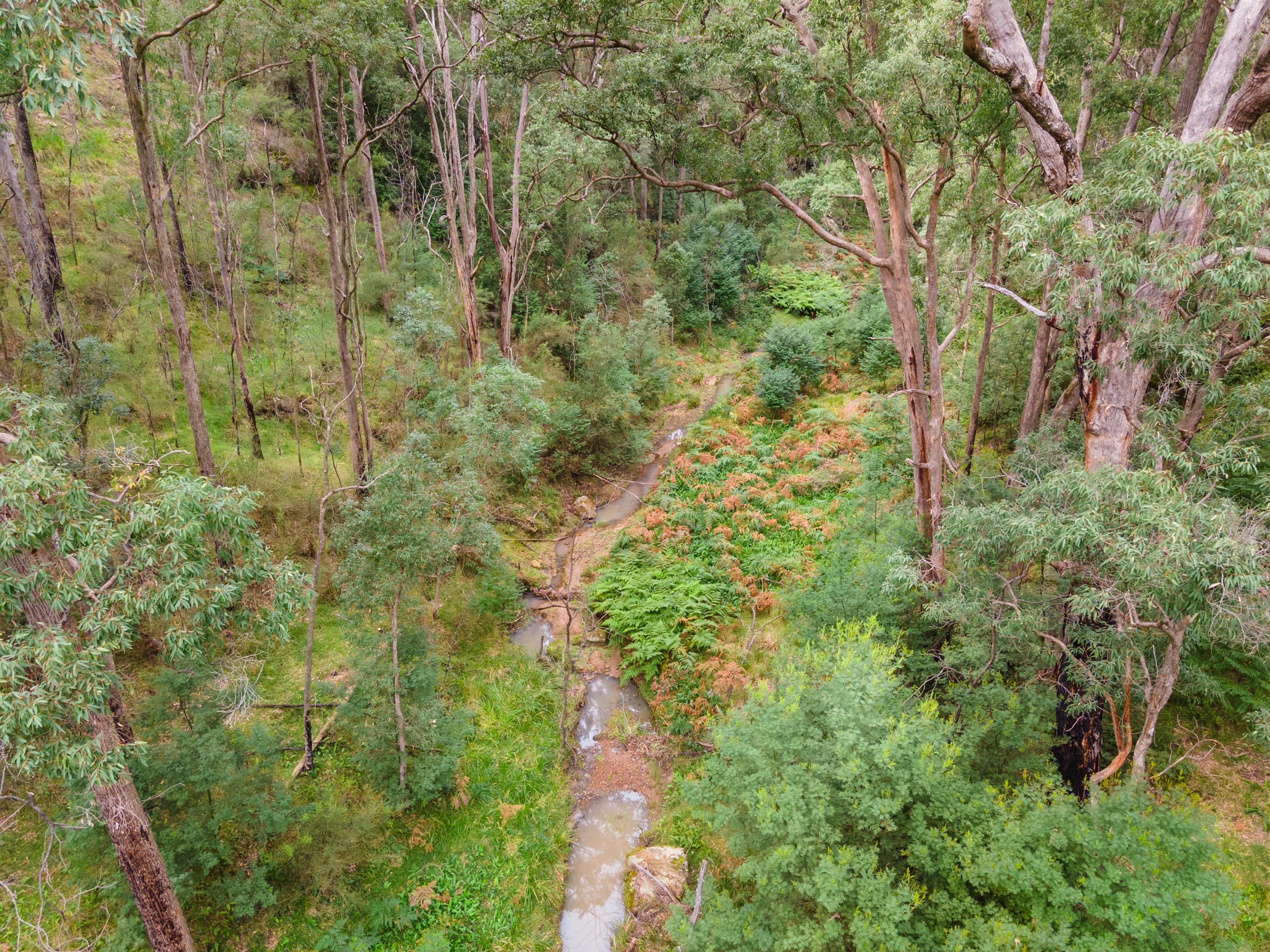 4320 Putty Road, Howes Valley, NSW 2330 Land for Sale Ray White