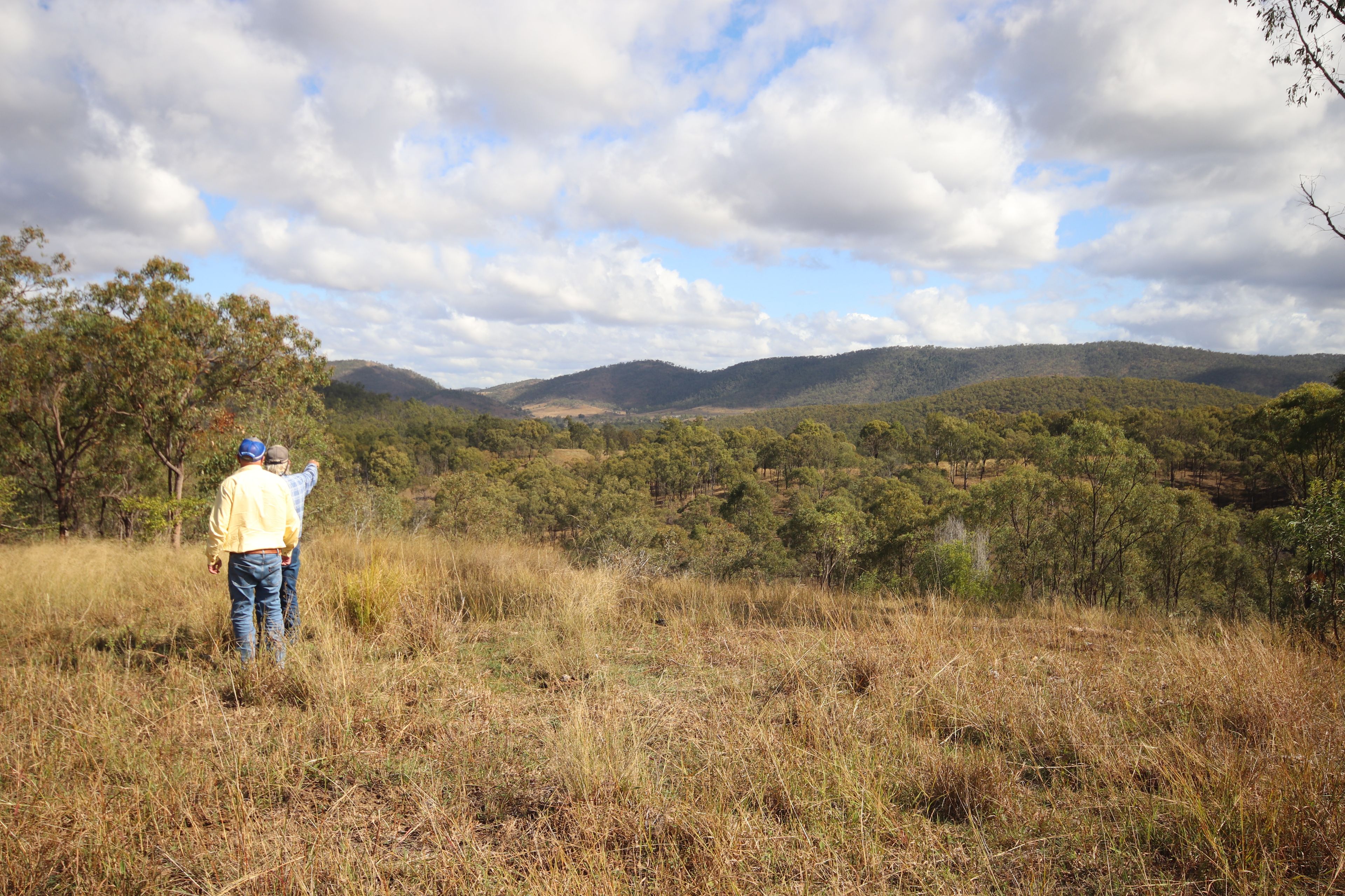 Lot 43 and Lot 50 Kalliwa Road, Mingo — photo from Ray White Mundubbera