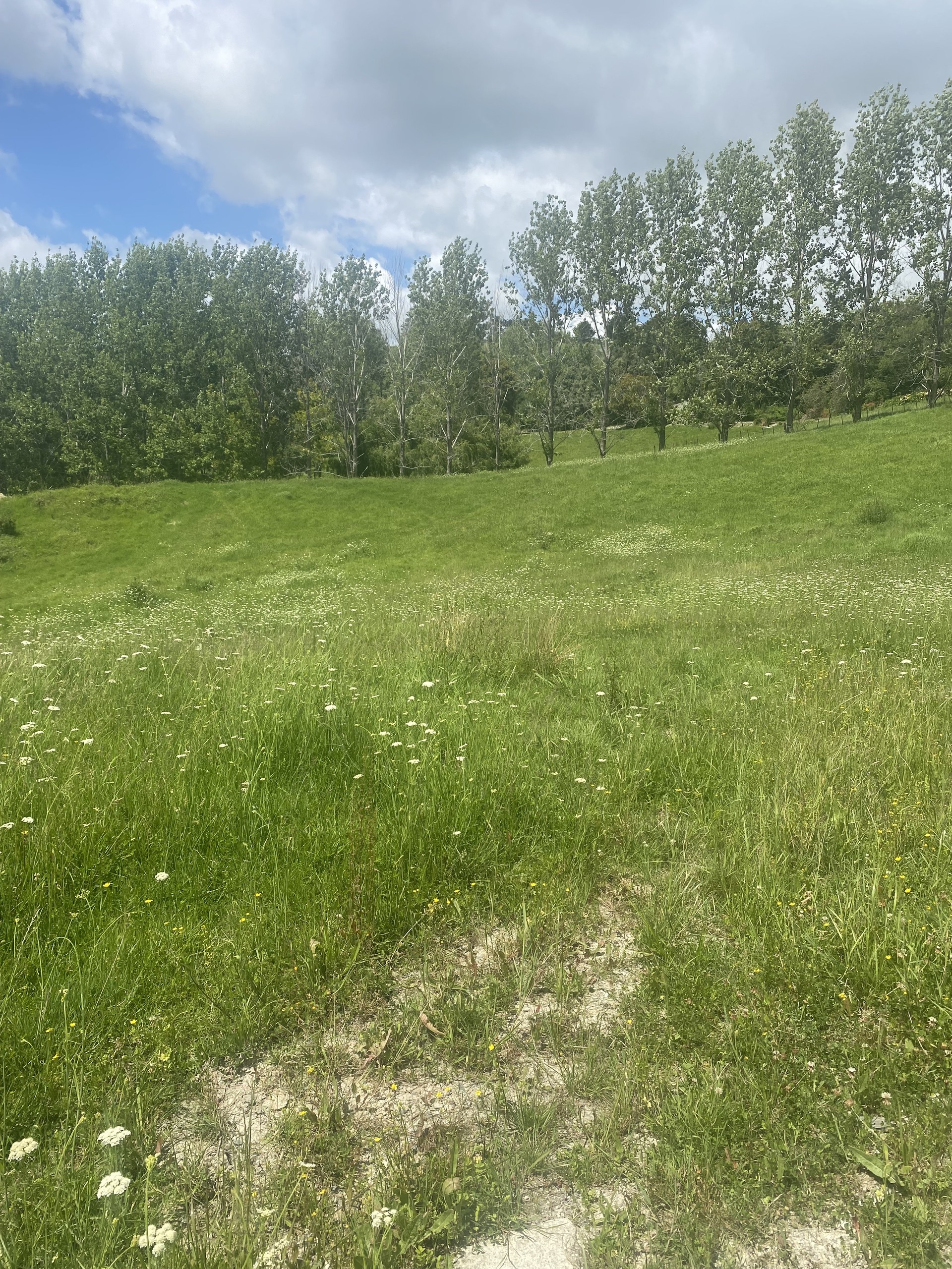 9 Petley Road, Paparoa, Kaipara District