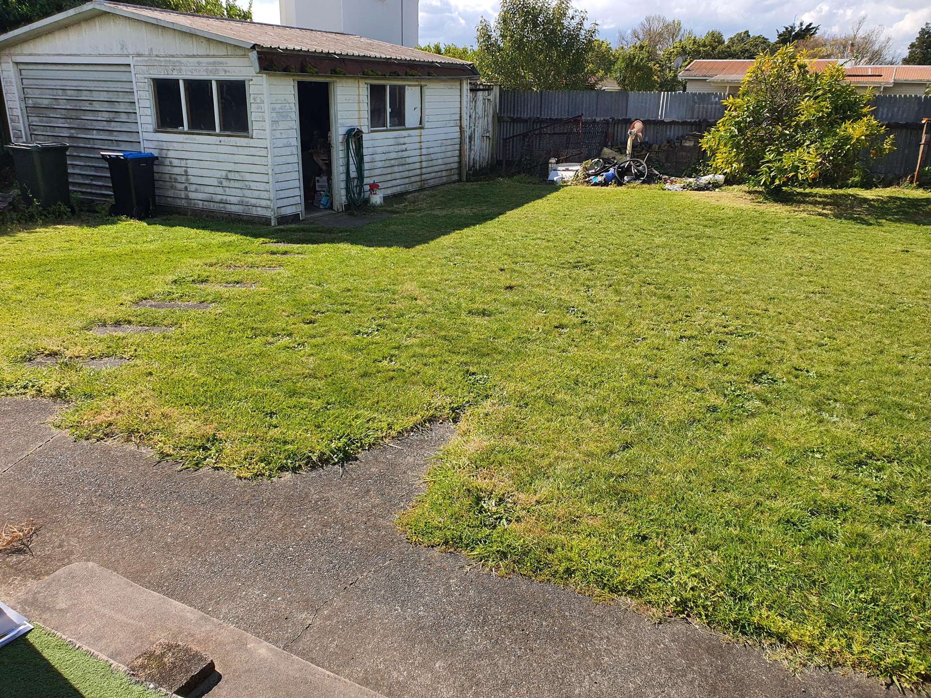 1308 Alexandra Street photo 4