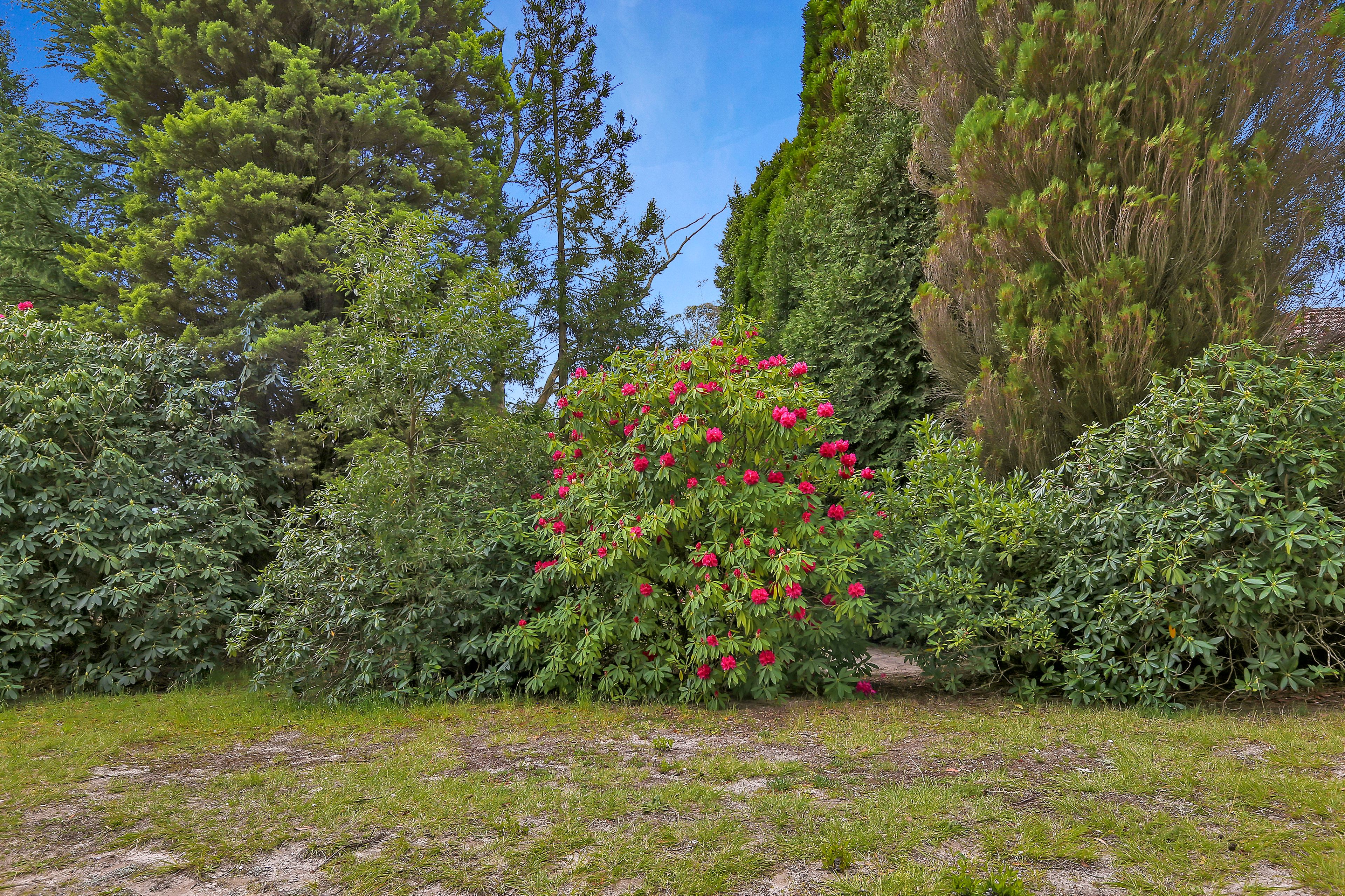 24 Sylvania Street, Mount Victoria NSW 2786