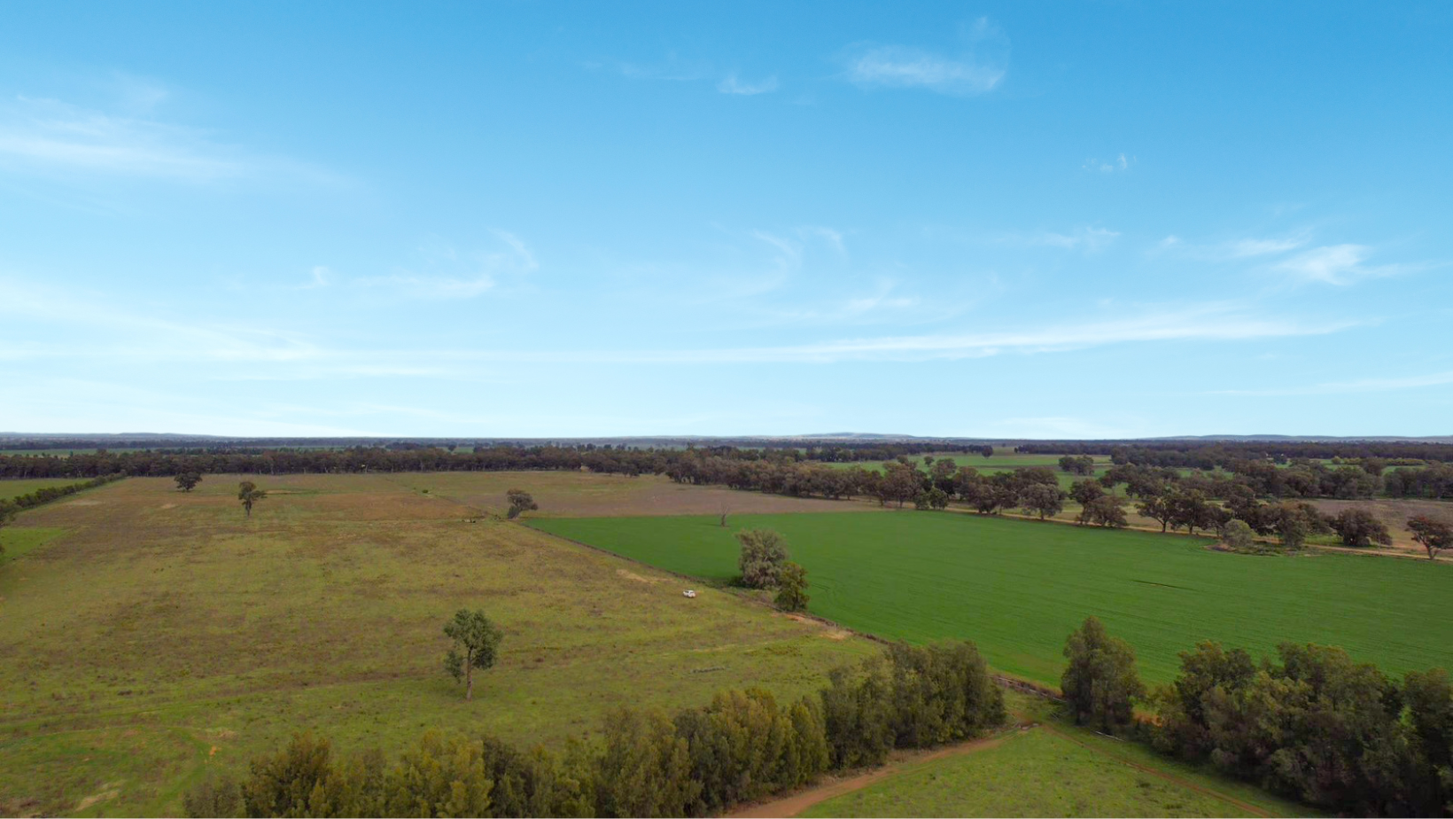 Ray White Rural and Livestock