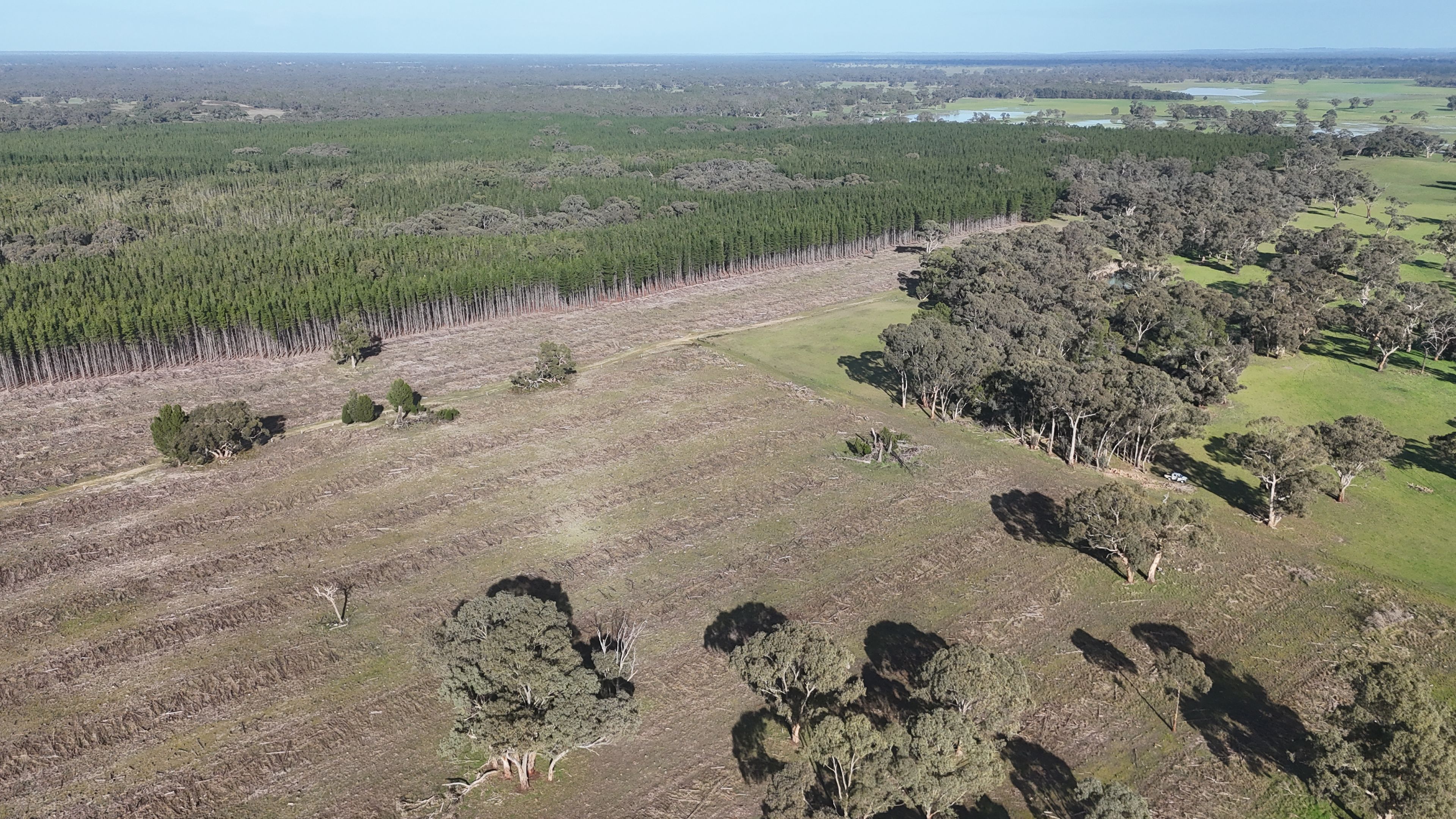 Lot 8 Bangham Road, Bangham, SA 5268