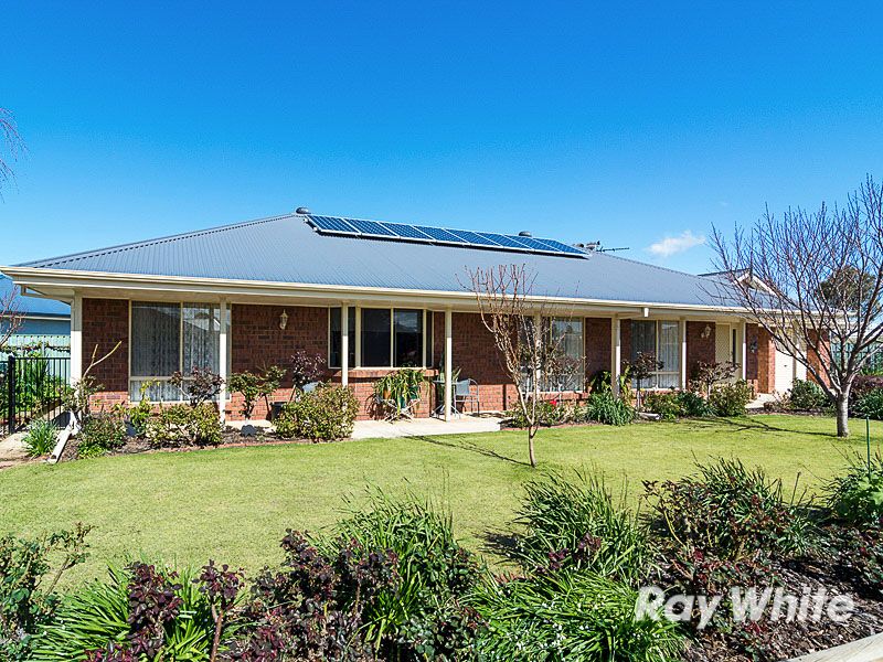 53 Strathmont Drive, Strathalbyn SA 5255