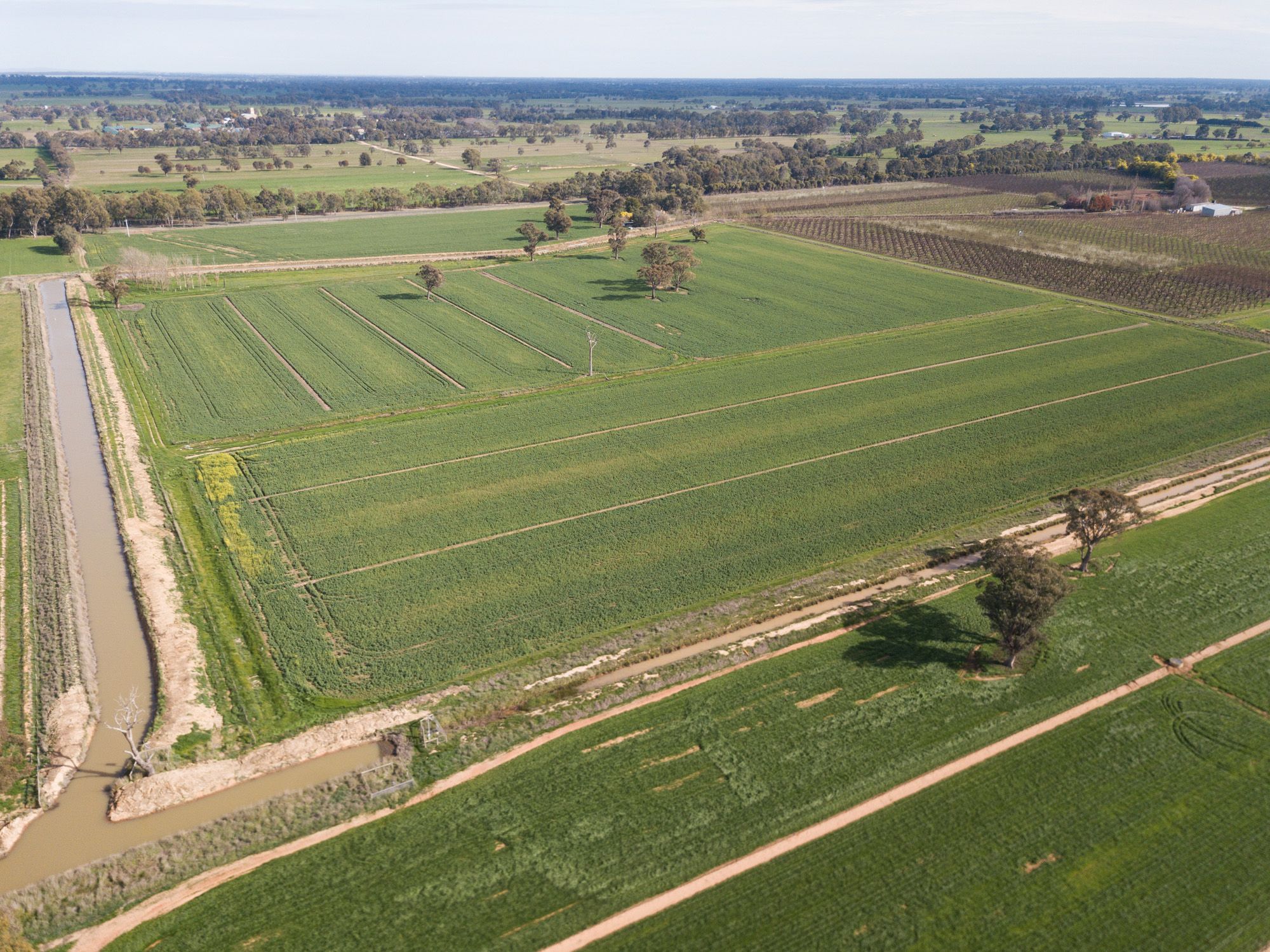 1215 Dhurringile Road, Dhurringile, VIC 3610