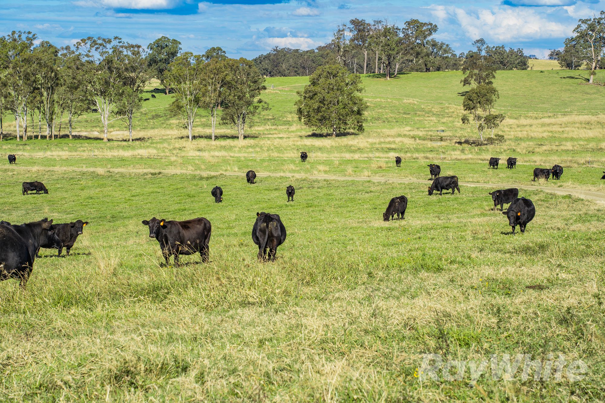 4469 Clarence Town Road, Dungog, NSW 2420