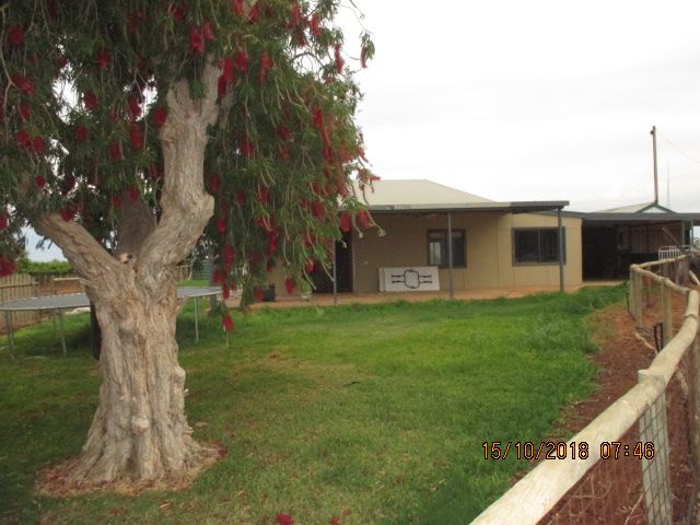 72 Coates Road, Barmera, SA 5345