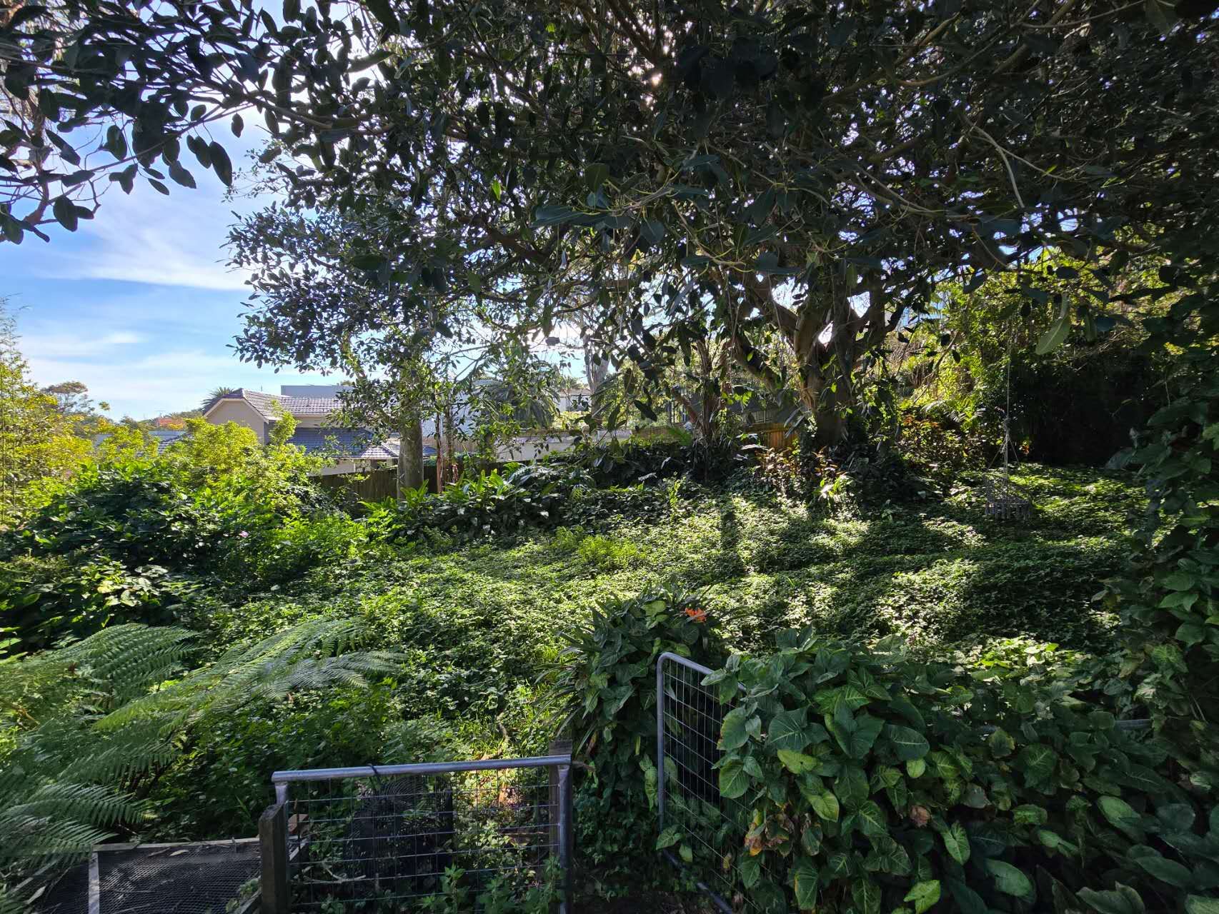 4/682 Old South Head Road — photo 13 of 17
