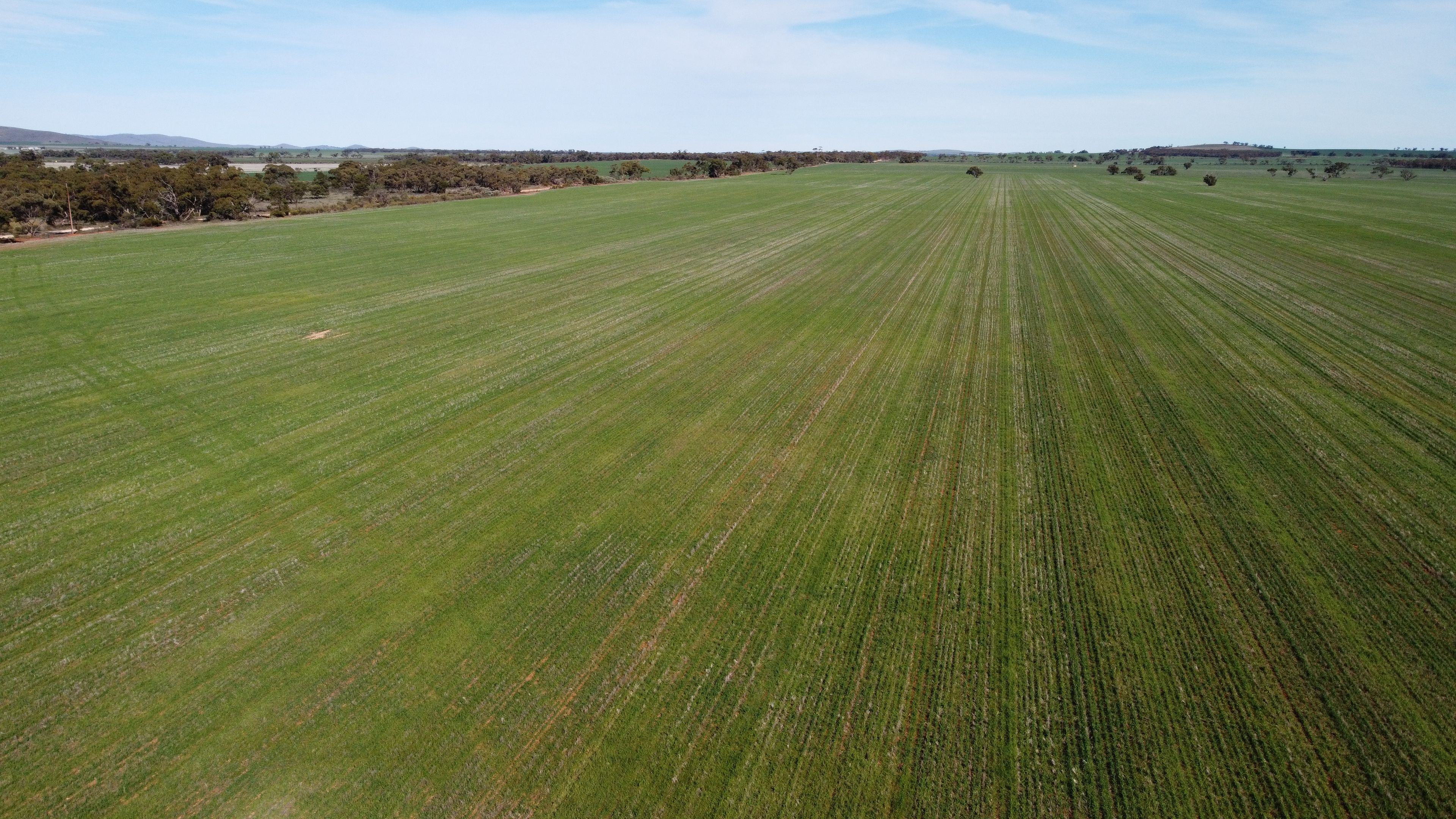 'Twigden' McCallum Road, Booleroo Centre, SA 5482 Sold Rural Cropping