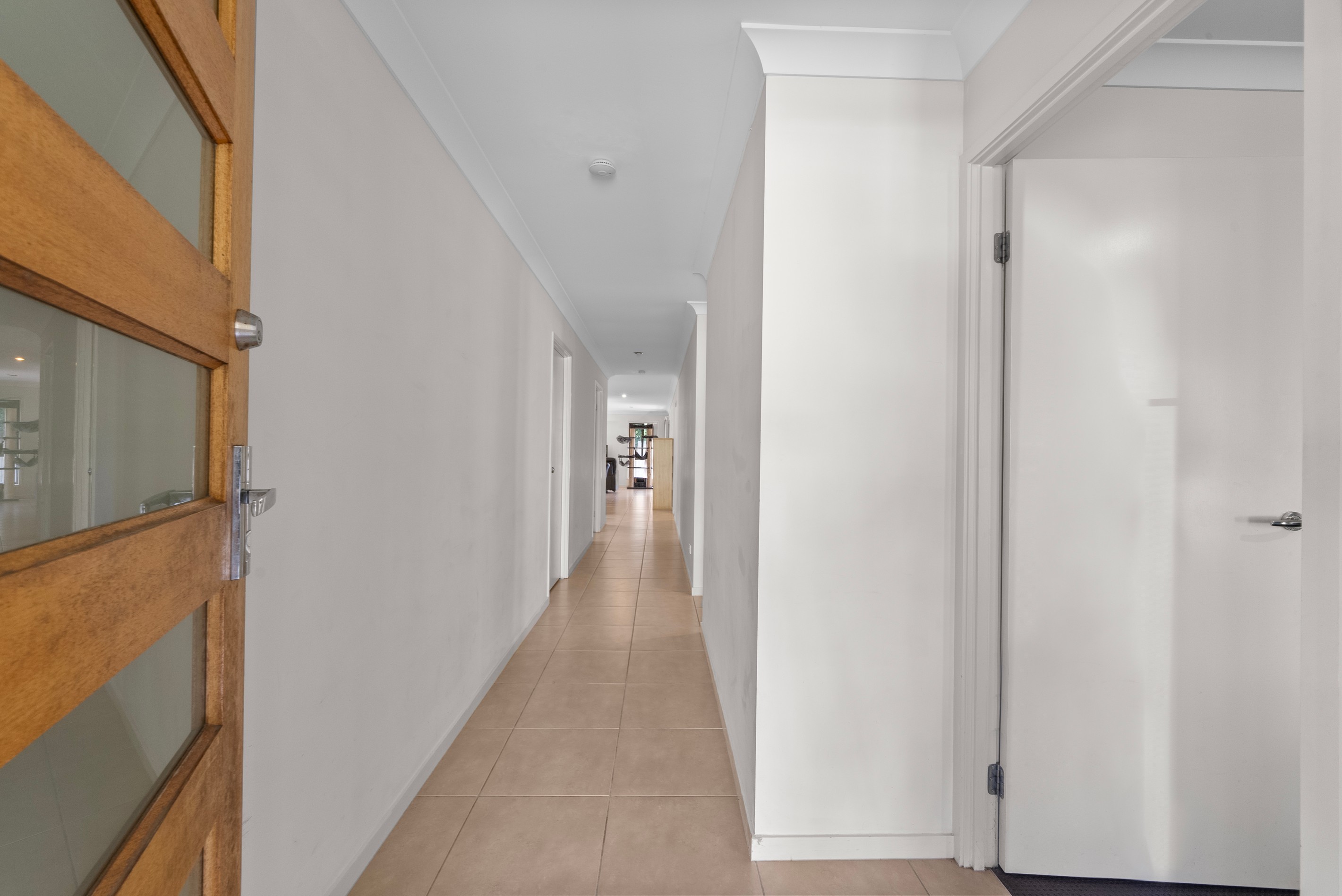 5 Morning Sun Court, Maudsland, QLD 4210