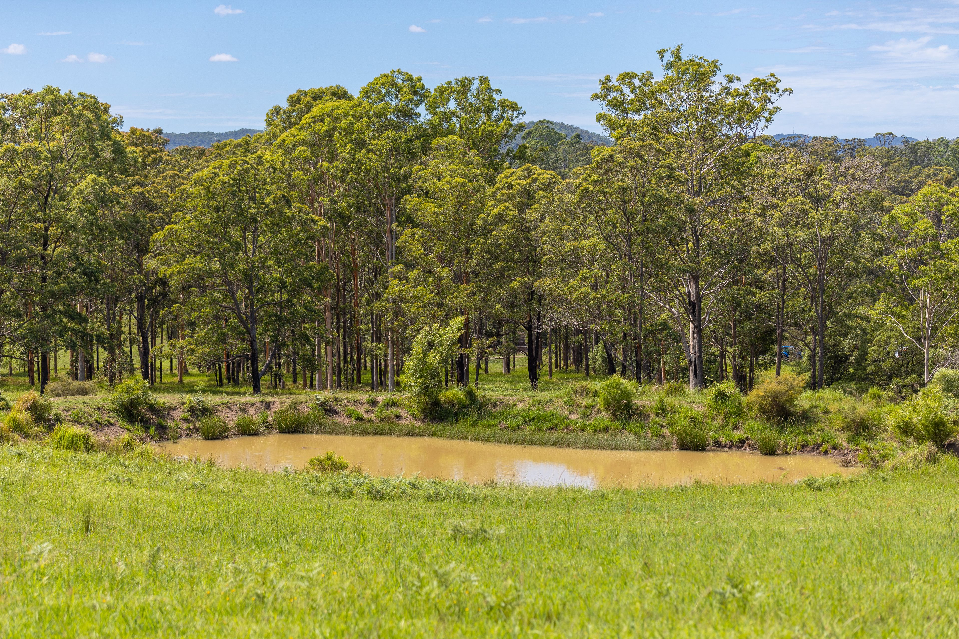 30 Wynters Road, Burrell Creek, NSW 2429