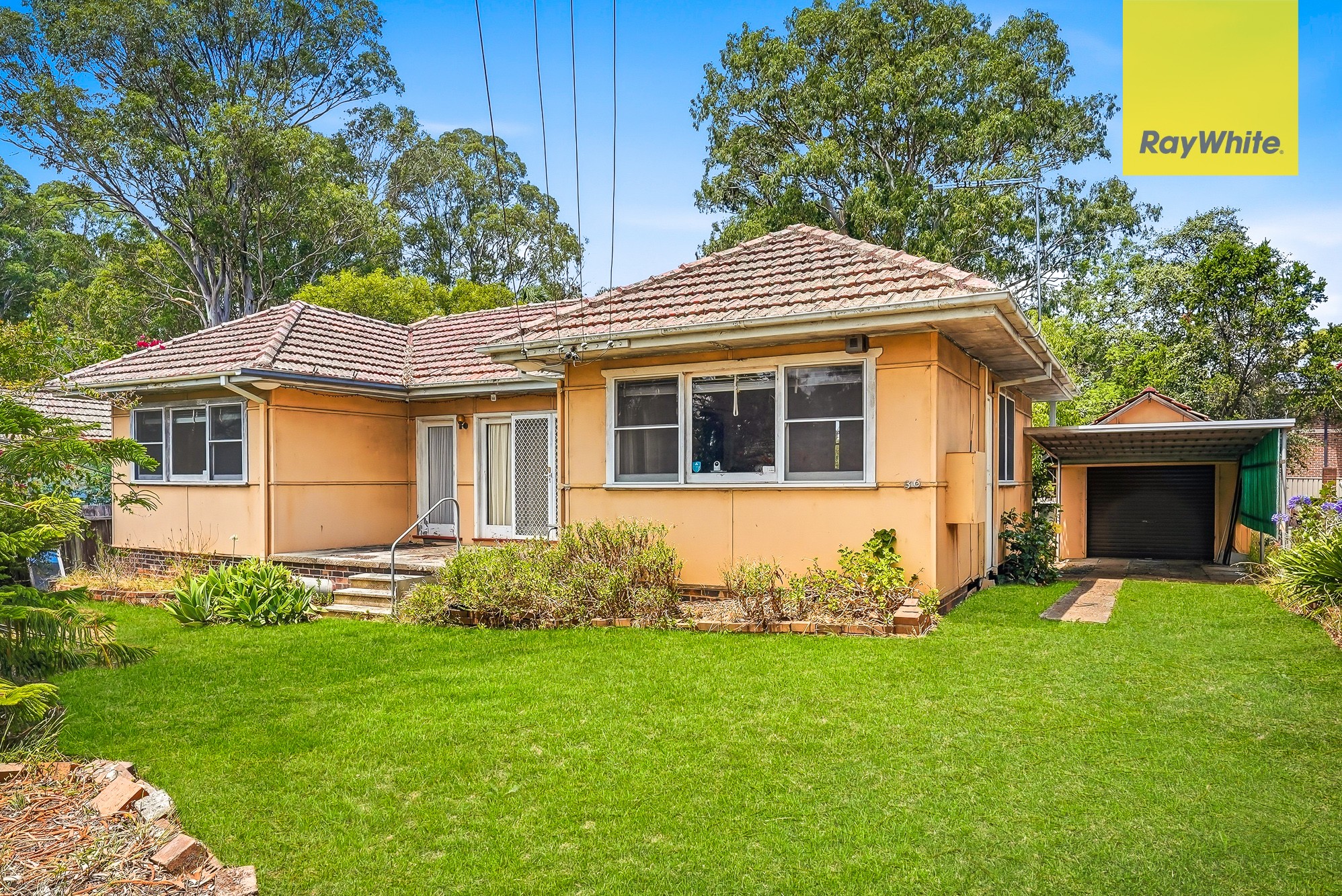 36 Valeria Street, Toongabbie, NSW 2146