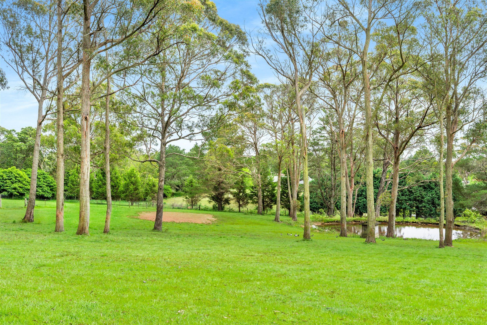 15 Pine Street, Colo Vale, NSW 2575