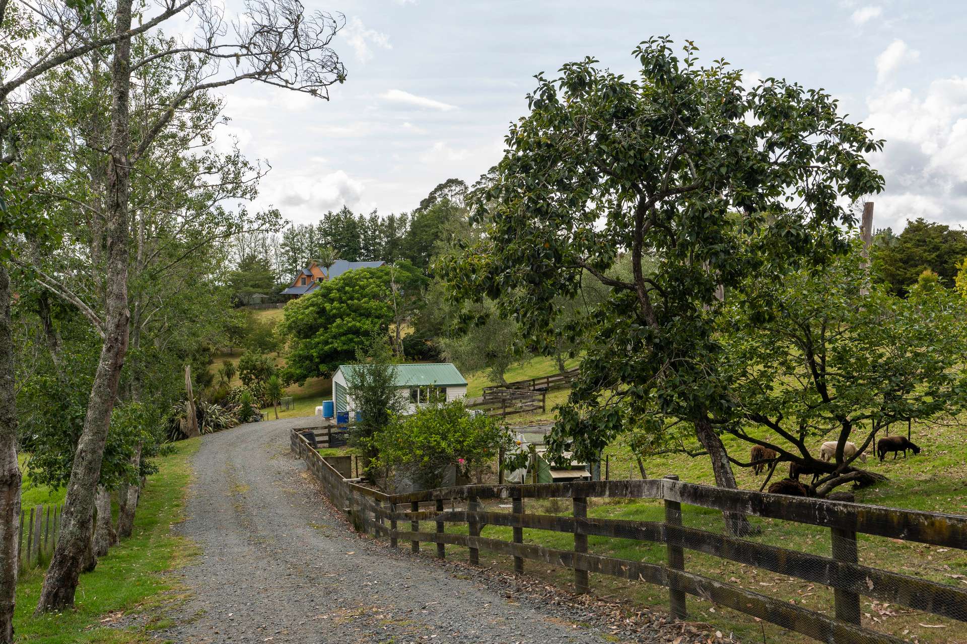 237 Pukeatua Road photo 3